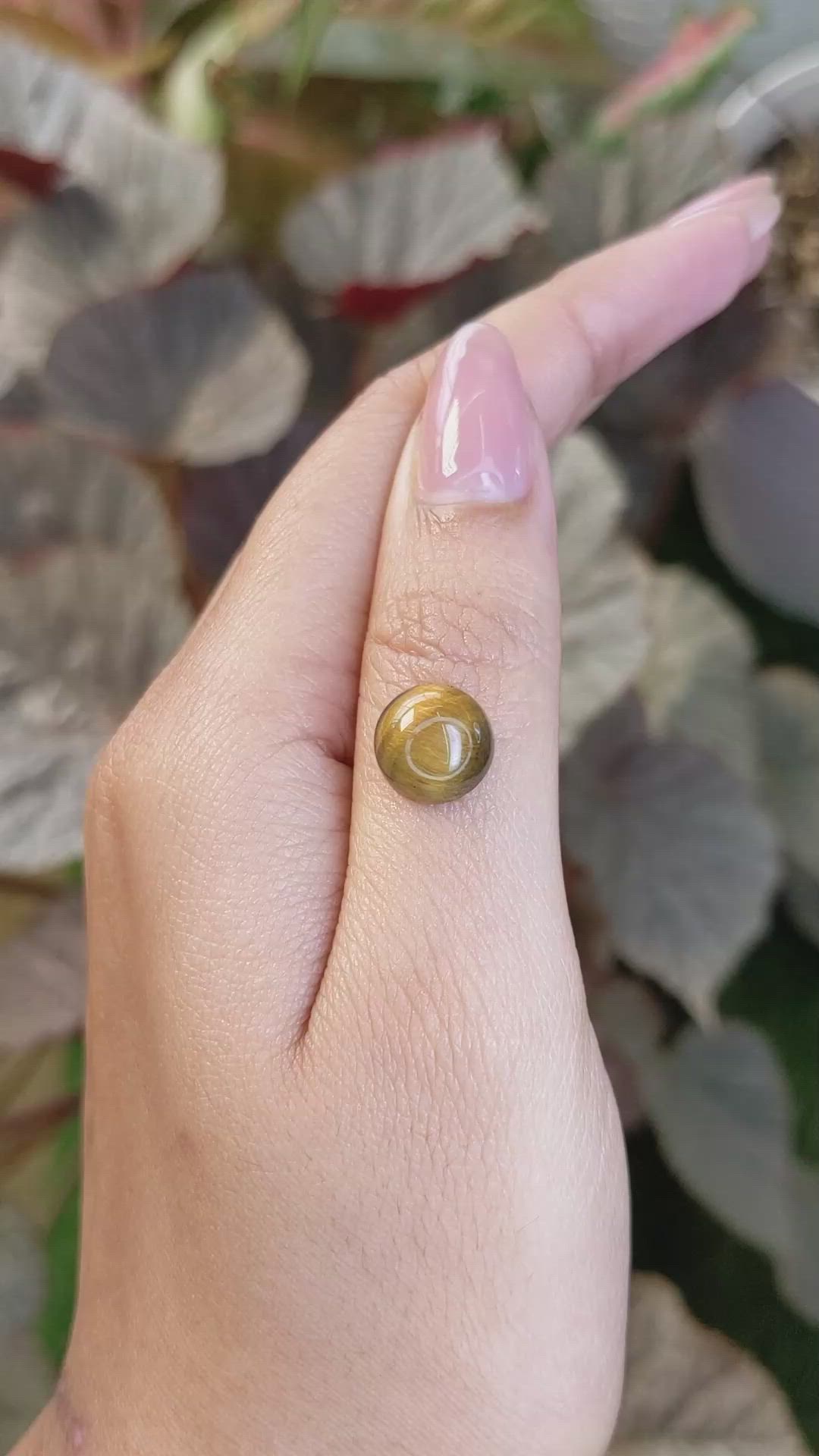 4.57 Ct. Cabochon Tiger's Eye from South Africa Size Video