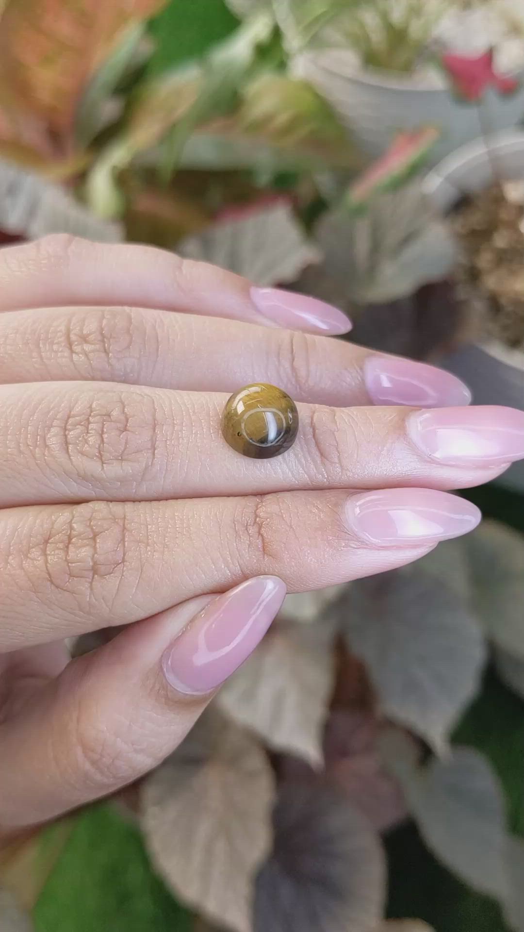 4.57 Ct. Cabochon Tiger's Eye from South Africa Size Video
