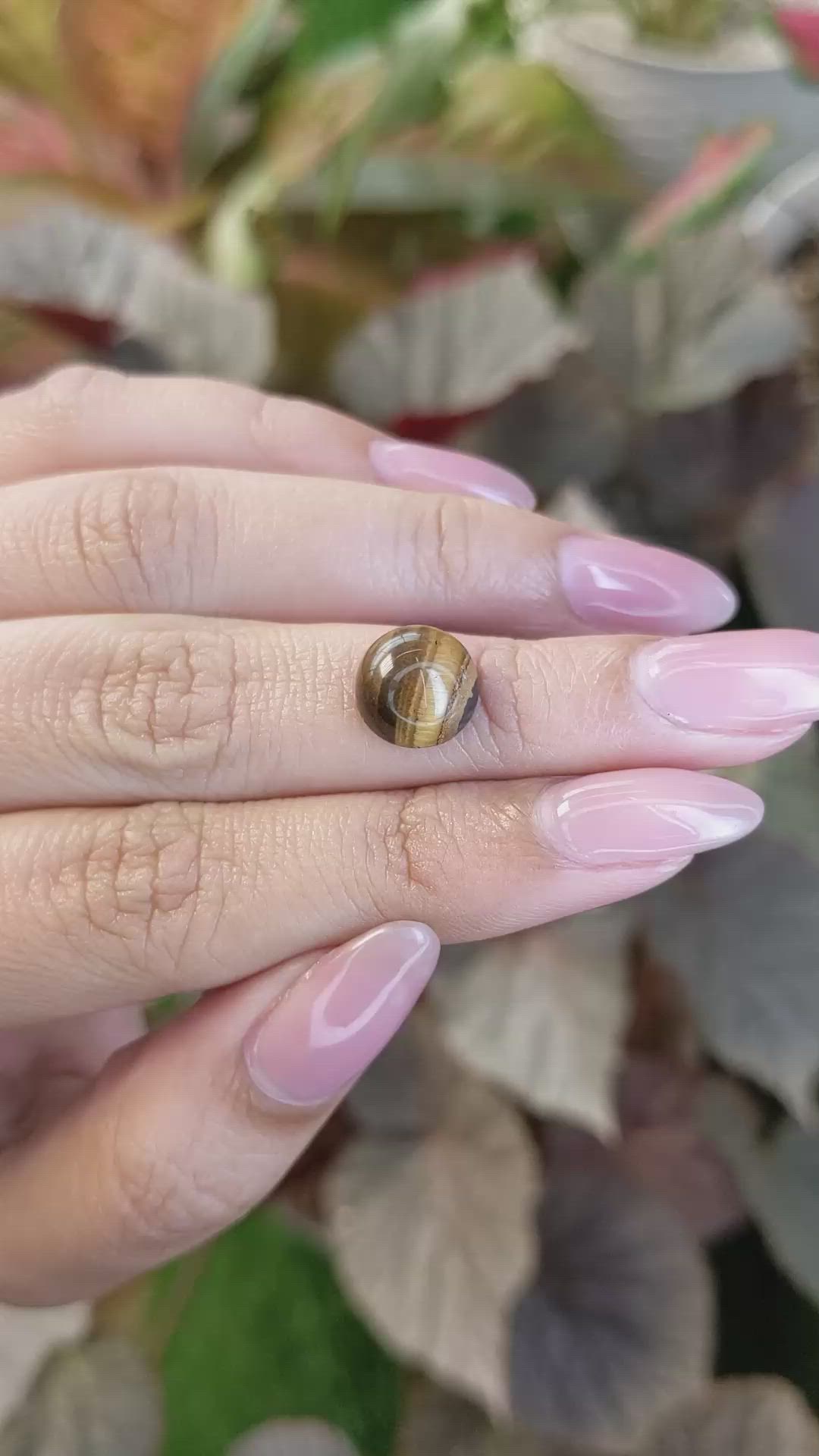 4.44 Ct. Cabochon Tiger's Eye from South Africa Size Video