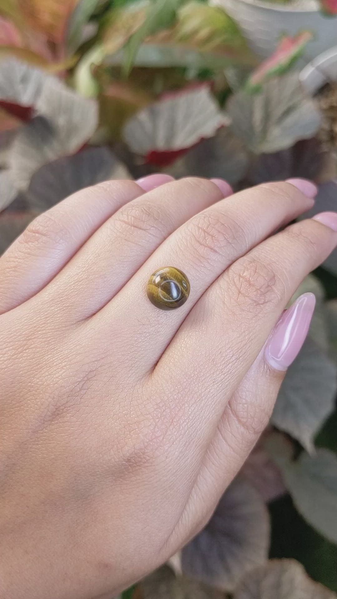 4.44 Ct. Cabochon Tiger's Eye from South Africa Size Video