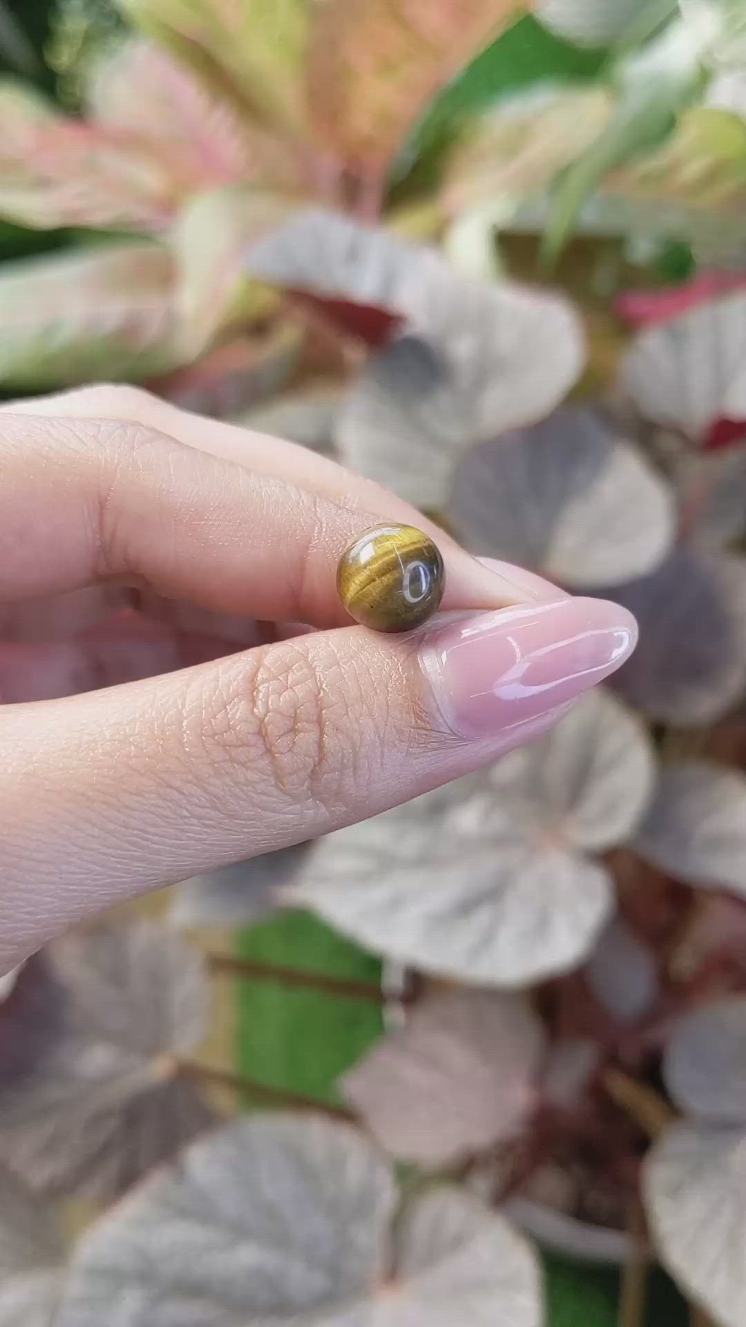 4.44 Ct. Cabochon Tiger's Eye from South Africa Size Video