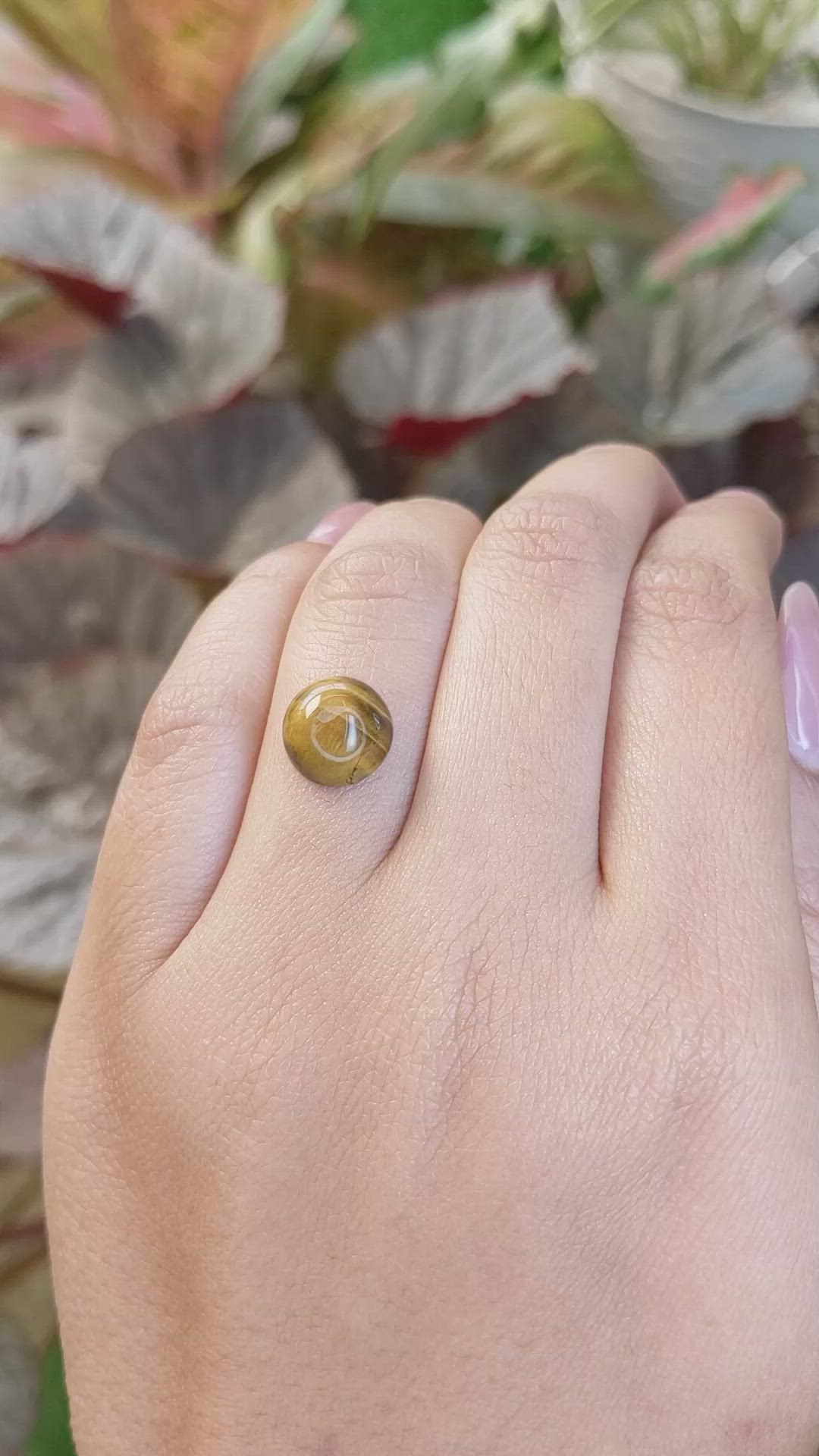 4.24 Ct. Cabochon Tiger's Eye from South Africa Size Video