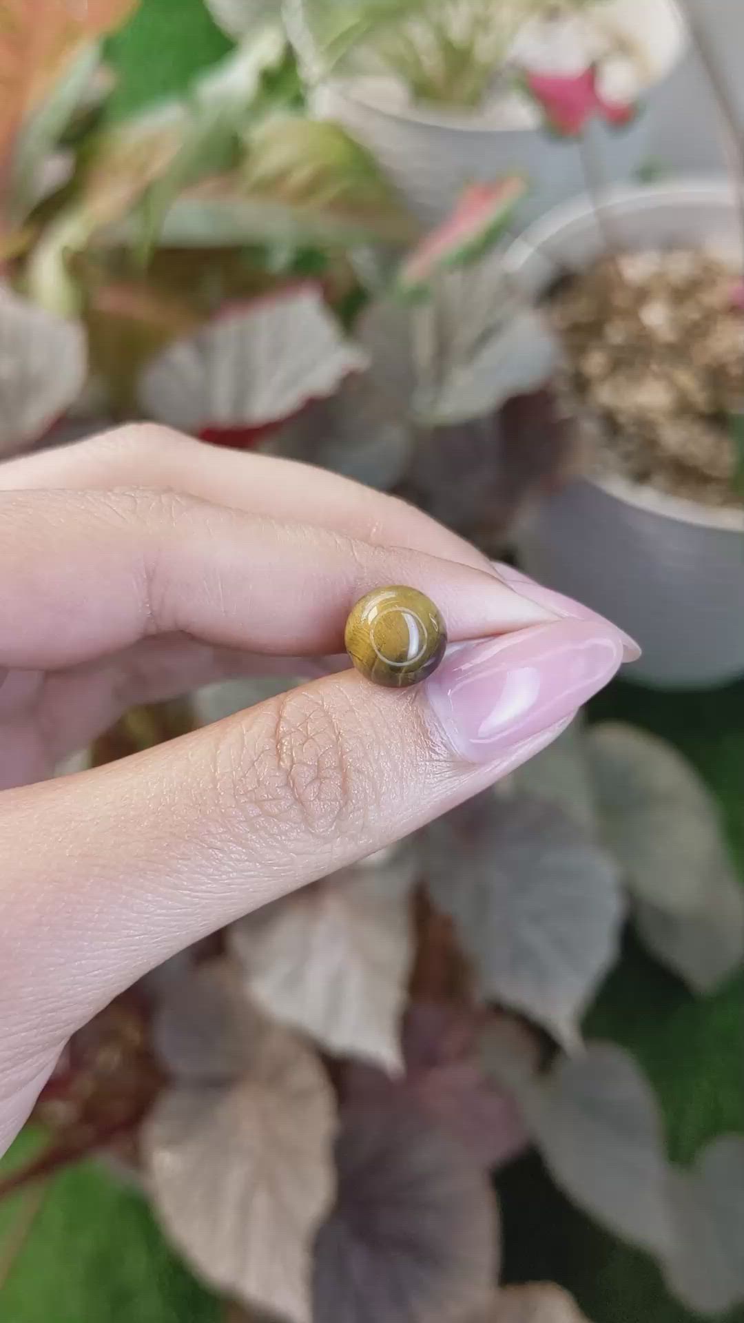 4.24 Ct. Cabochon Tiger's Eye from South Africa Size Video