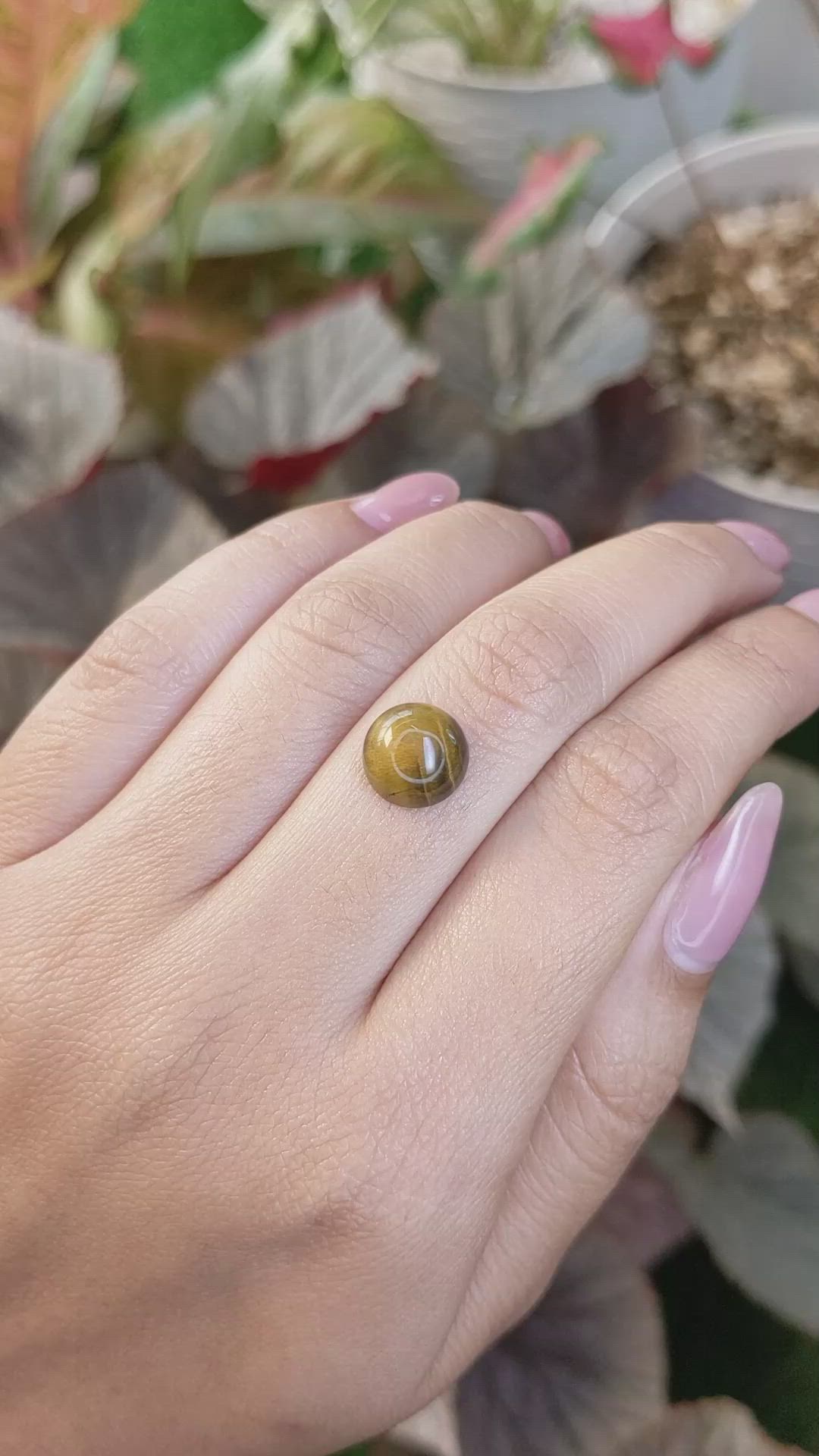 4.24 Ct. Cabochon Tiger's Eye from South Africa Size Video