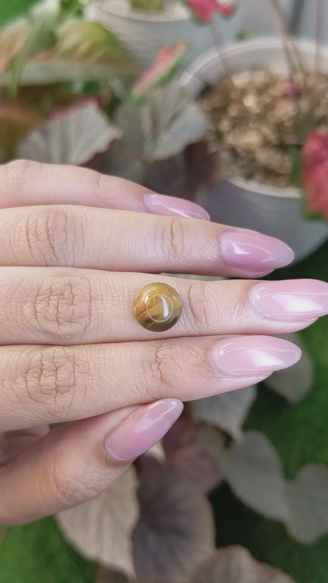 4.24 Ct. Cabochon Tiger's Eye from South Africa Size Video