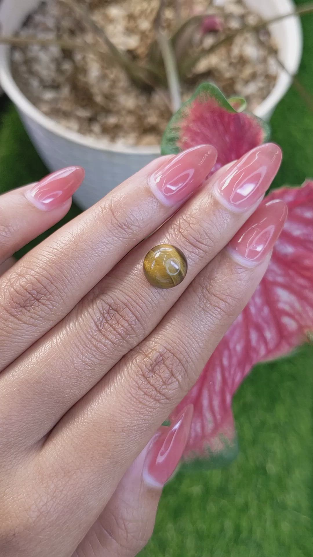 4.40 Ct. Cabochon Tiger's Eye from South Africa Size Video