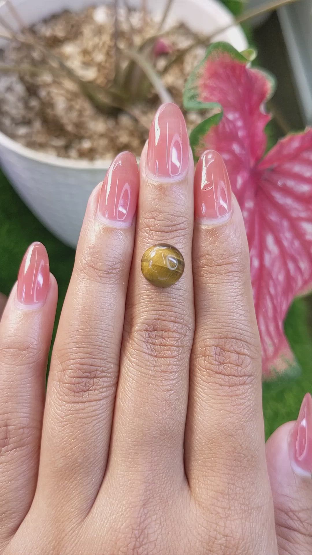 4.40 Ct. Cabochon Tiger's Eye from South Africa Size Video