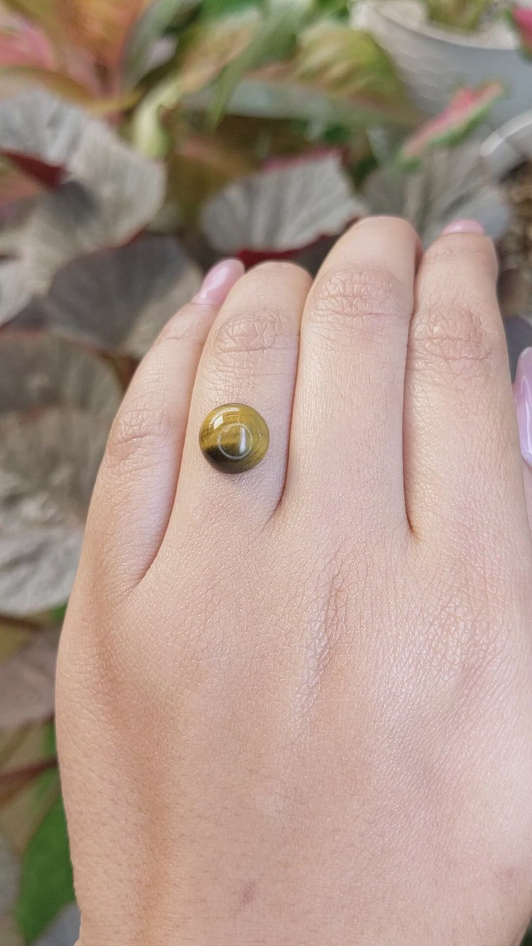 4.42 Ct. Cabochon Tiger's Eye from South Africa Size Video