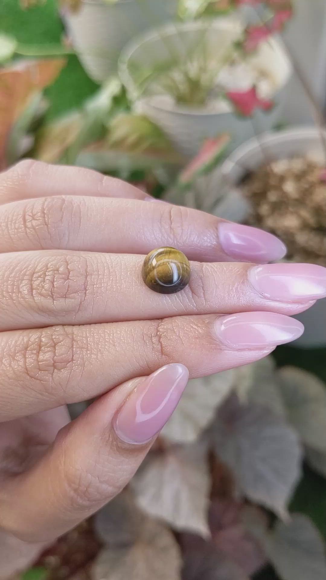 4.42 Ct. Cabochon Tiger's Eye from South Africa Size Video