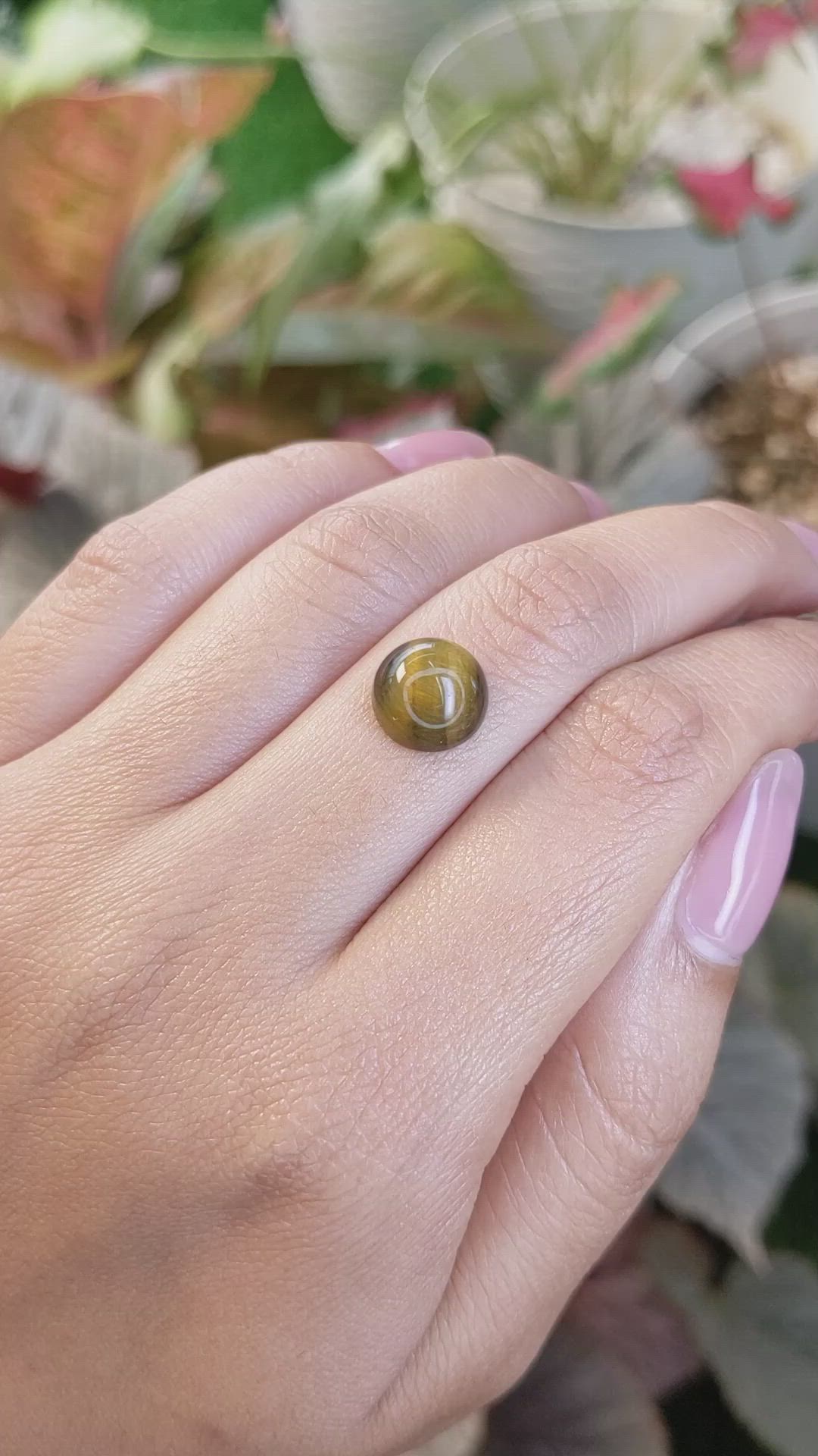 4.42 Ct. Cabochon Tiger's Eye from South Africa Size Video
