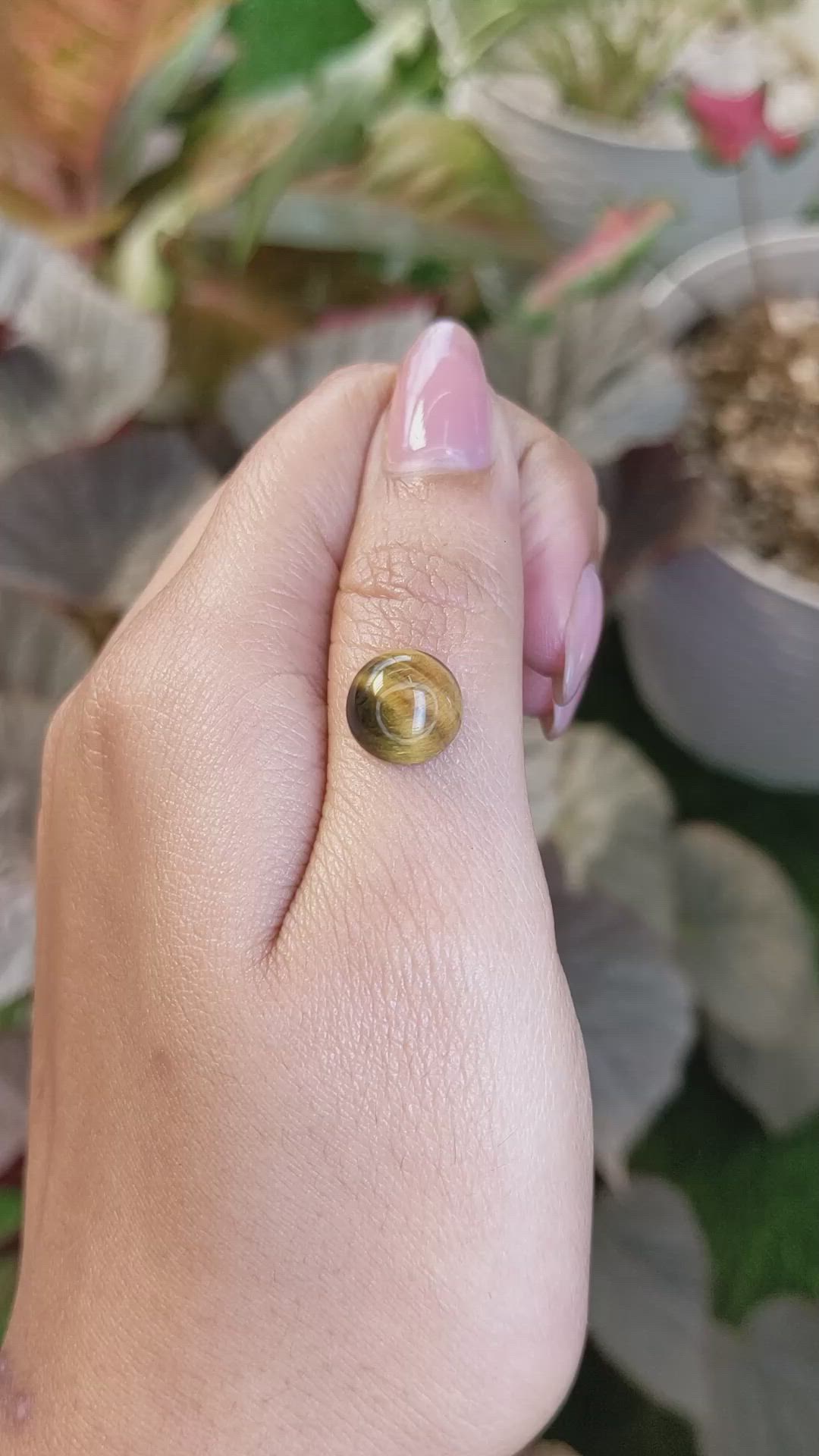 4.42 Ct. Cabochon Tiger's Eye from South Africa Size Video