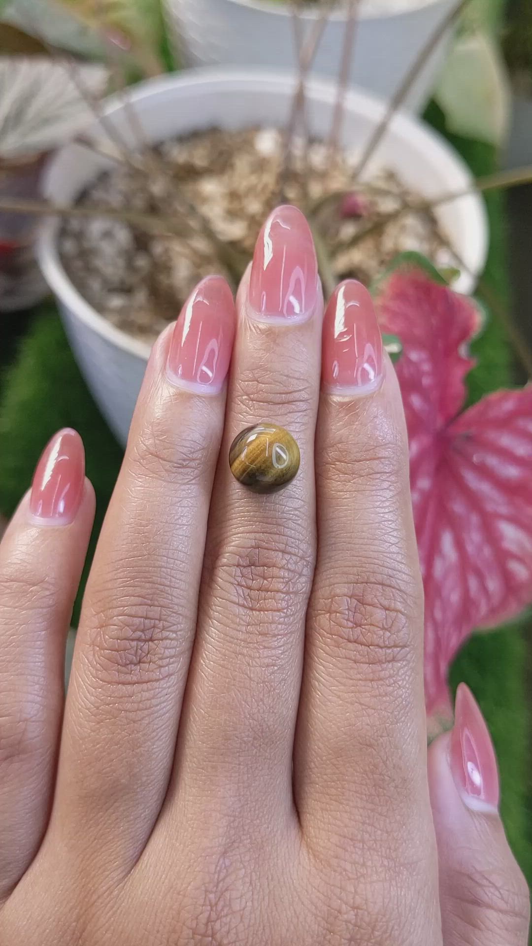 4.44 Ct. Cabochon Tiger's Eye from South Africa Size Video