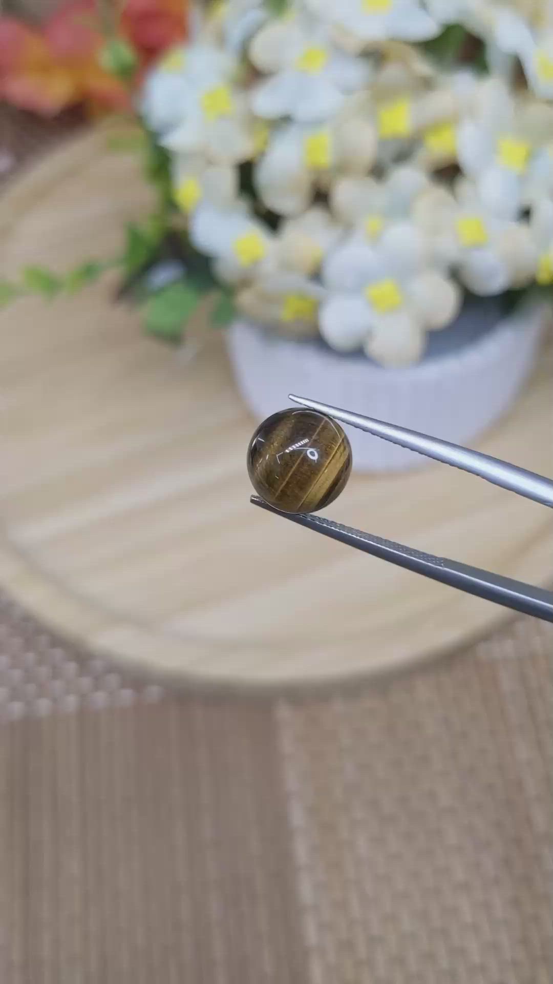 4.44 Ct. Cabochon Tiger's Eye from South Africa Size Video