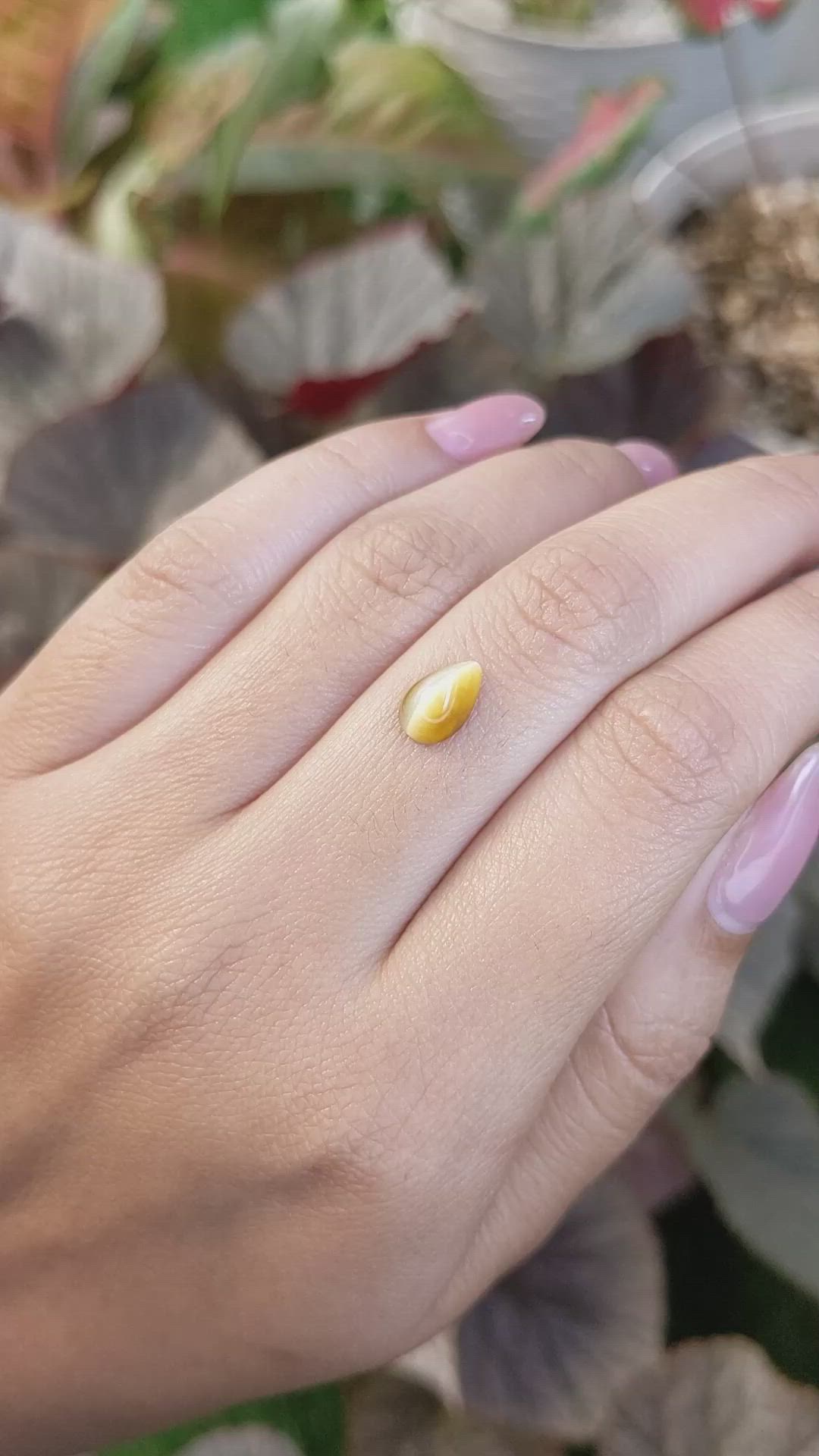1.29 Ct. Cabochon Tiger's Eye from South Africa Size Video