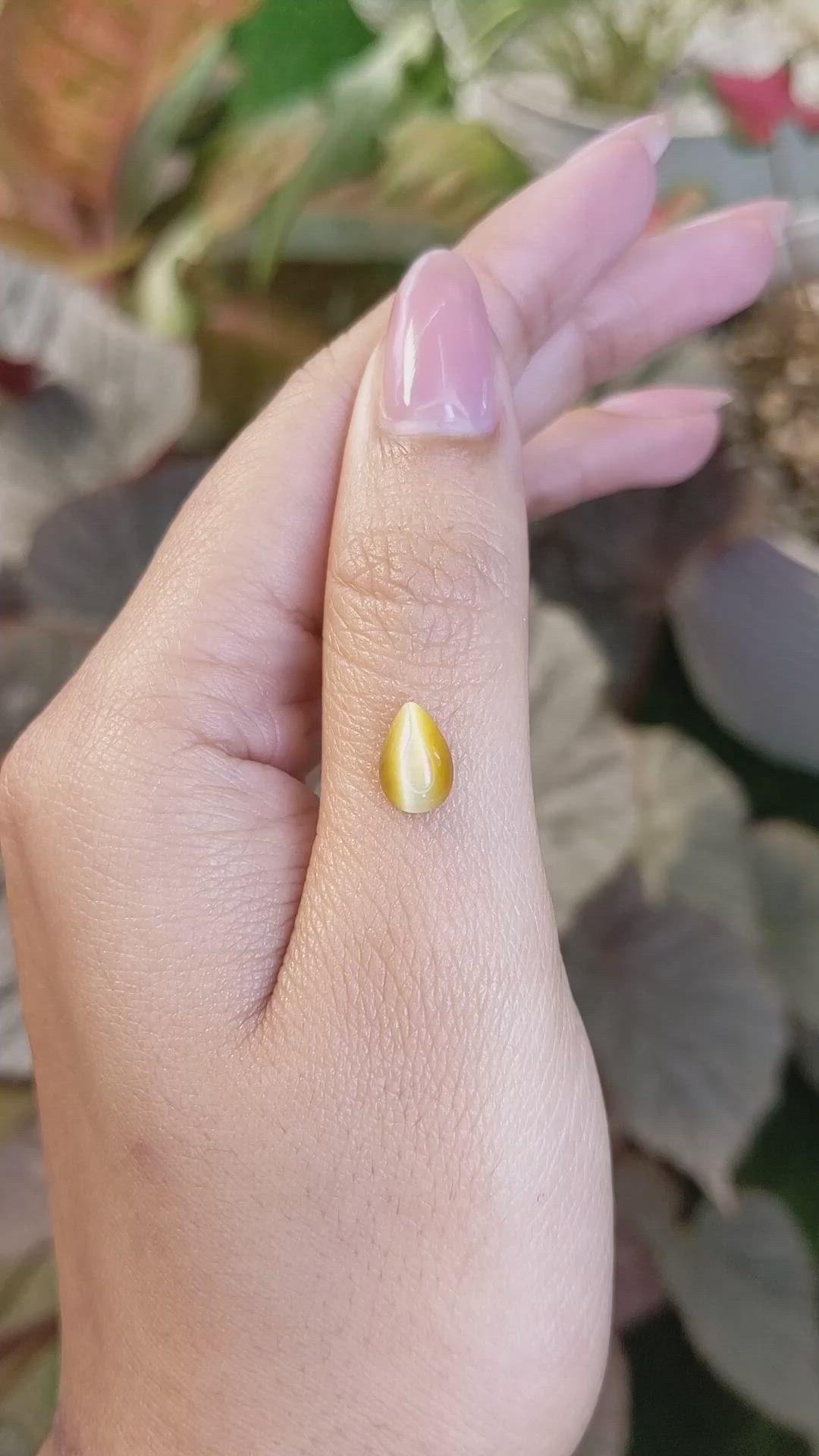 1.29 Ct. Cabochon Tiger's Eye from South Africa Size Video