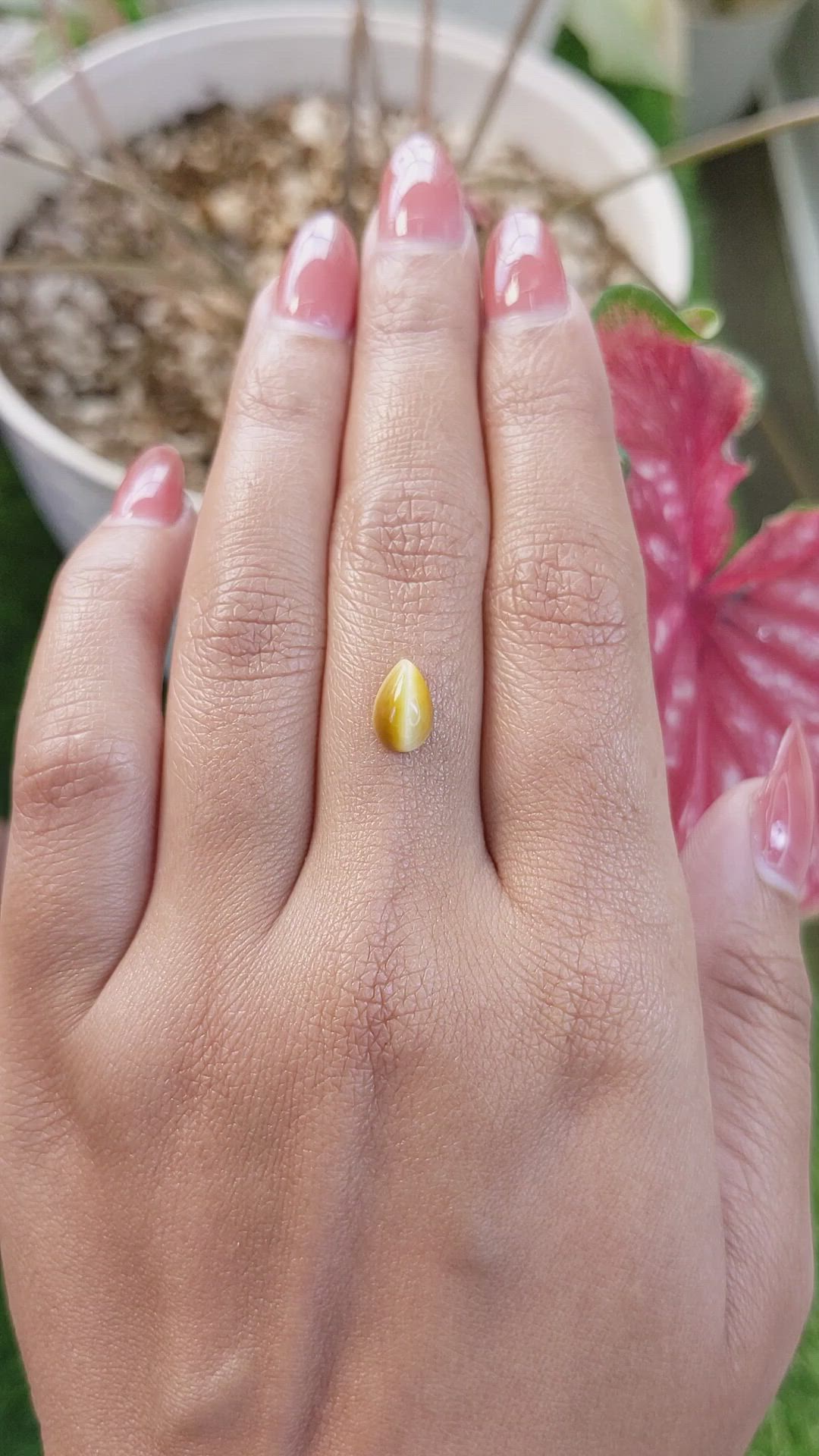 1.17 Ct. Cabochon Tiger's Eye from South Africa Size Video