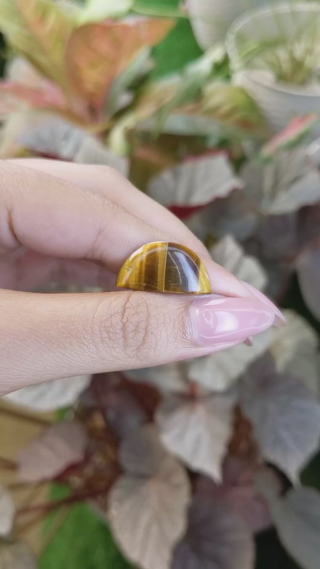 6.32 Ct. Tiger's Eye from South Africa Size Video