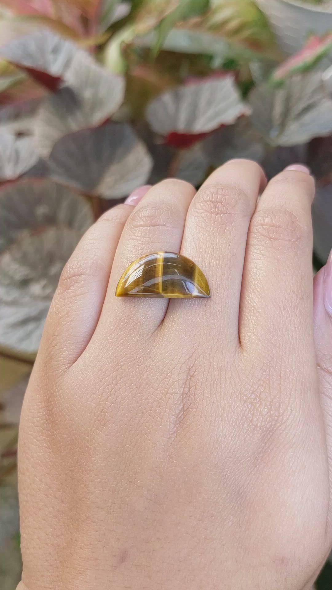 6.32 Ct. Tiger's Eye from South Africa Size Video