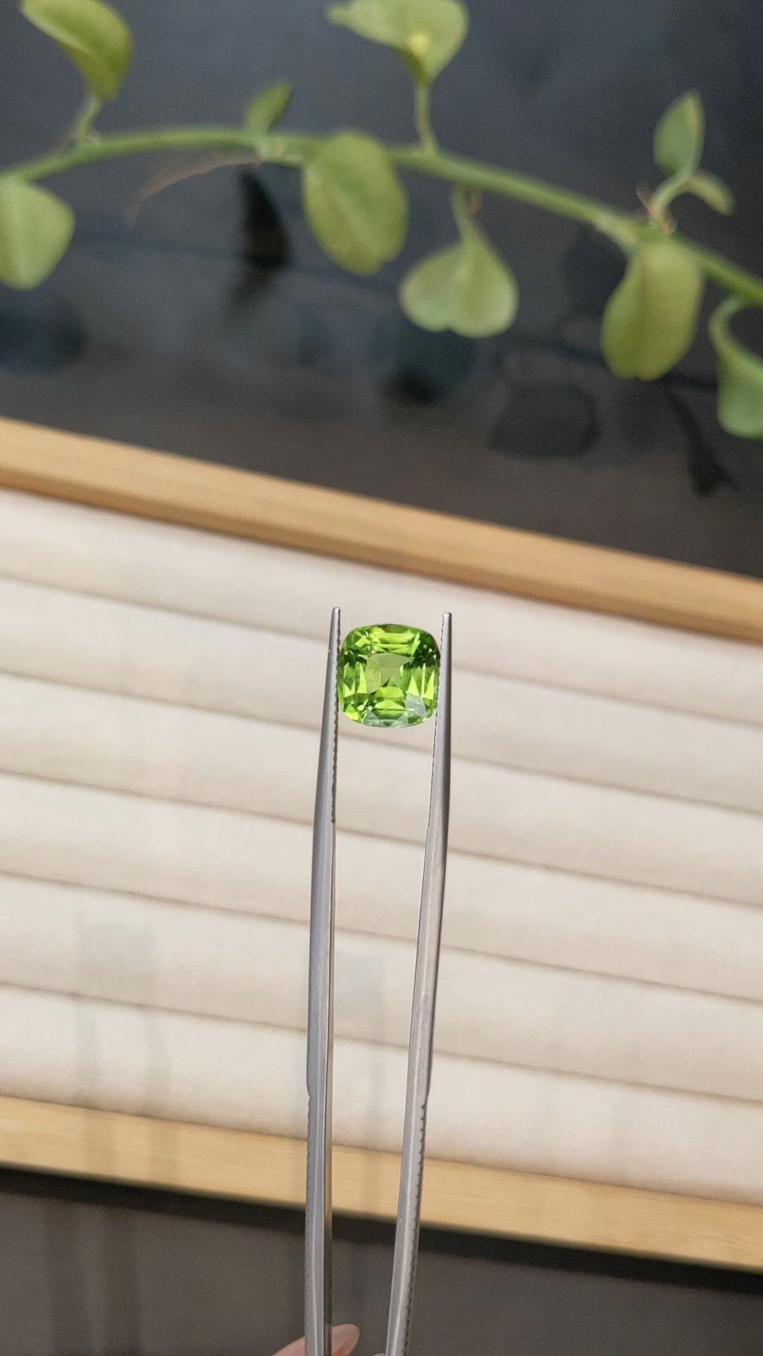 4.73 Ct. Yellowish Green Peridot from Pakistan Size Video