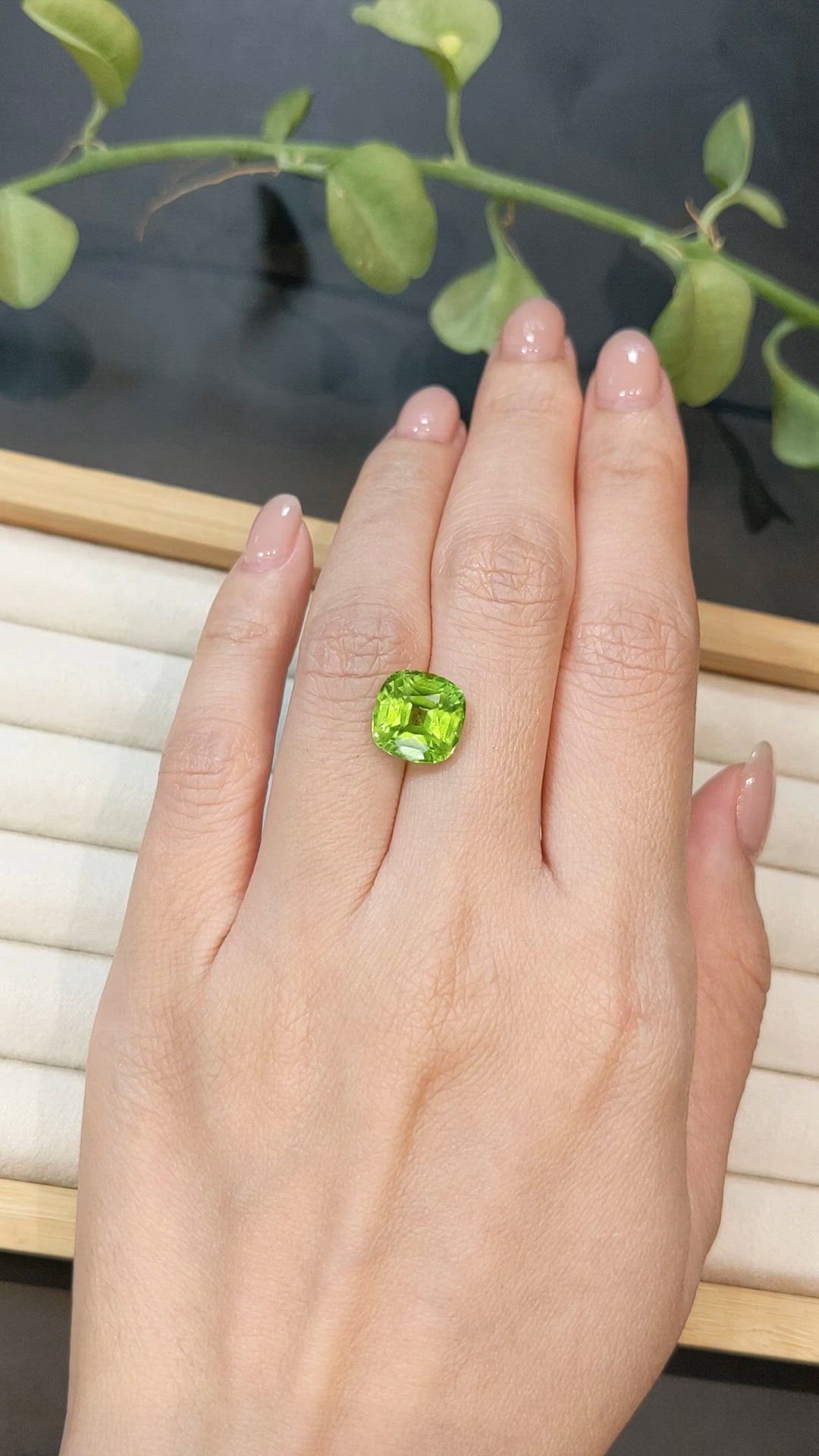 5.04 Ct. Yellowish Green Peridot from Pakistan Size Video