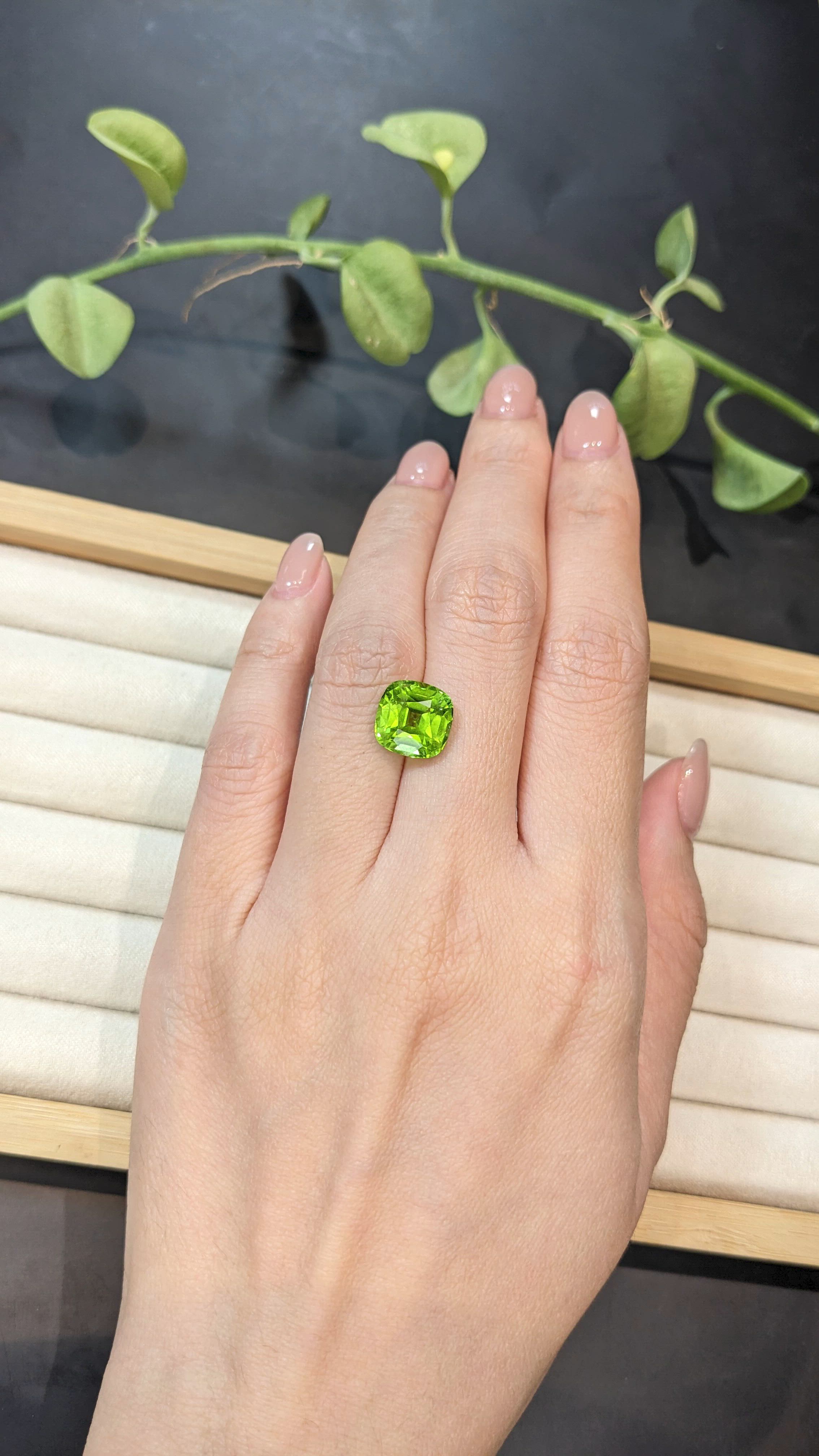 5.04 Ct. Yellowish Green Peridot from Pakistan Size Video