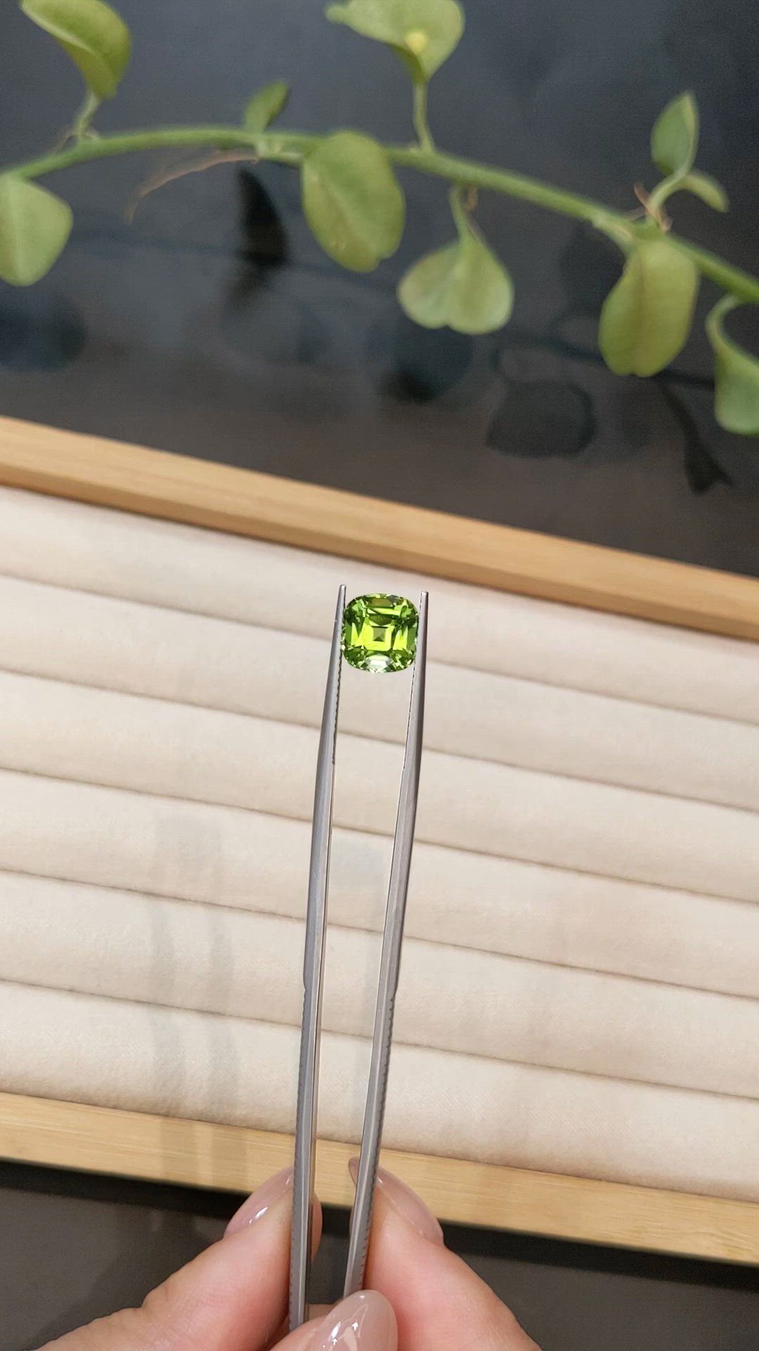 3.93 Ct. Green (Lime Green) Peridot from Pakistan Size Video