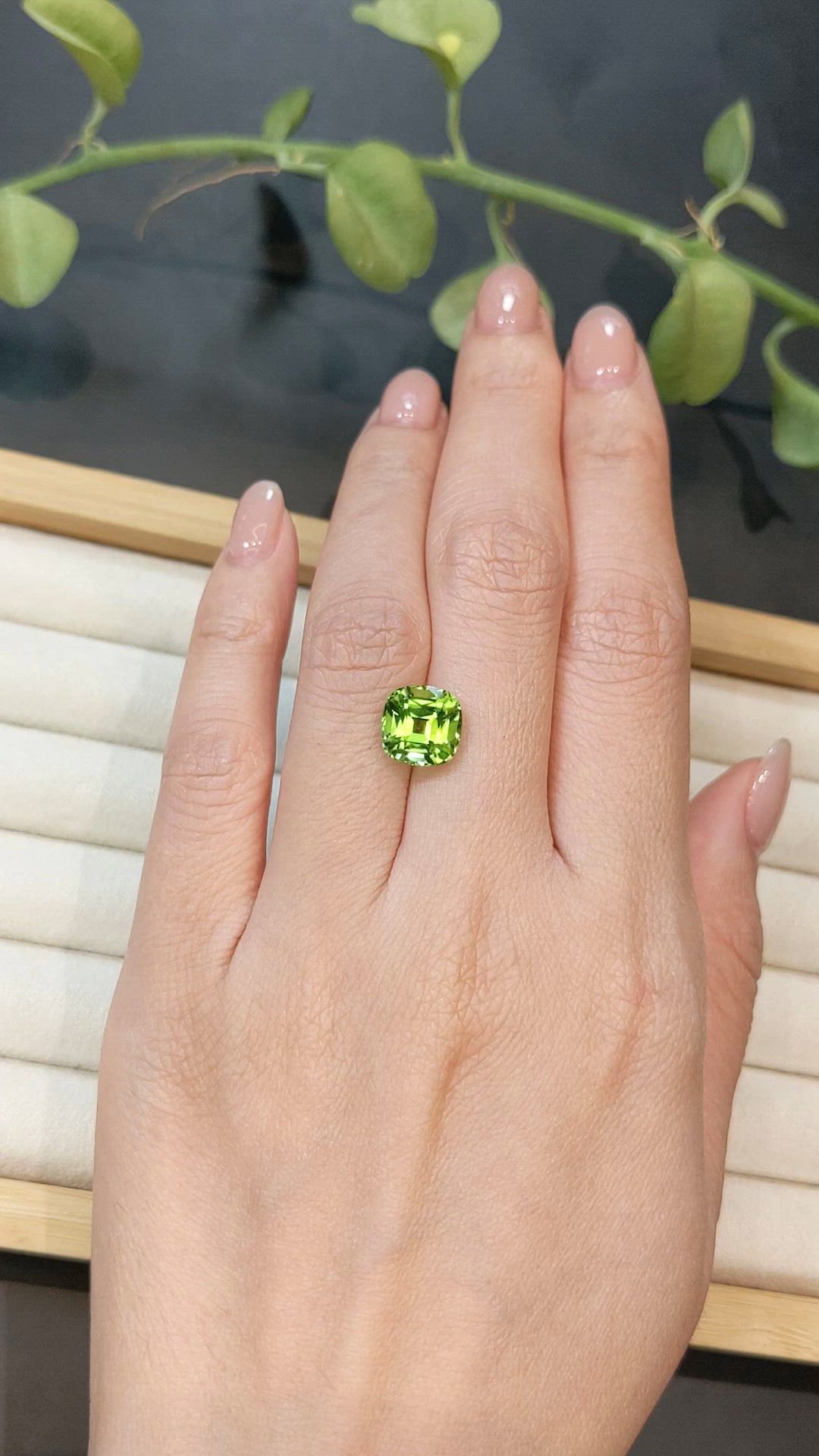 3.93 Ct. Green (Lime Green) Peridot from Pakistan Size Video