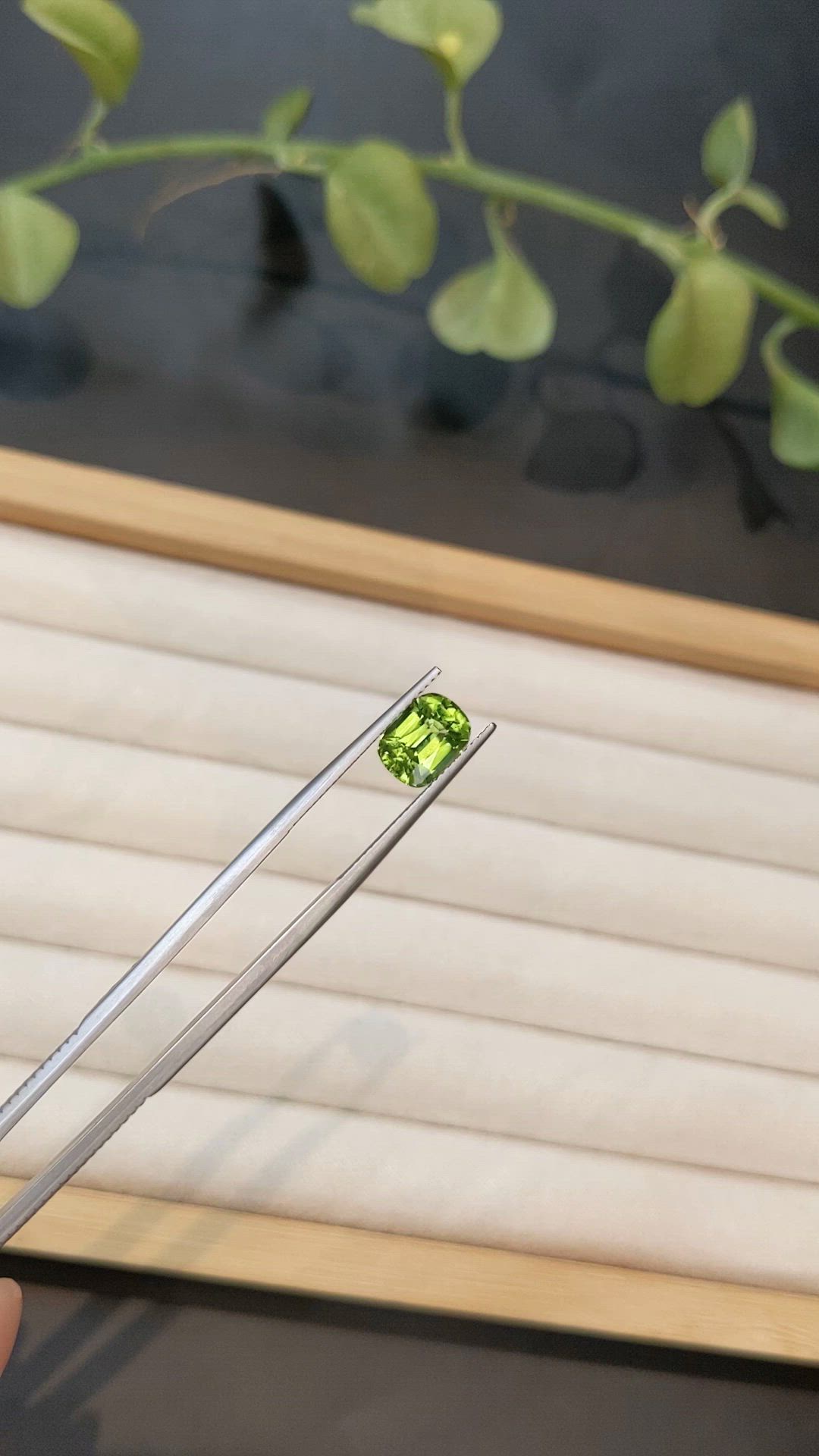 2.61 Ct. Yellowish Green Peridot from Pakistan Size Video