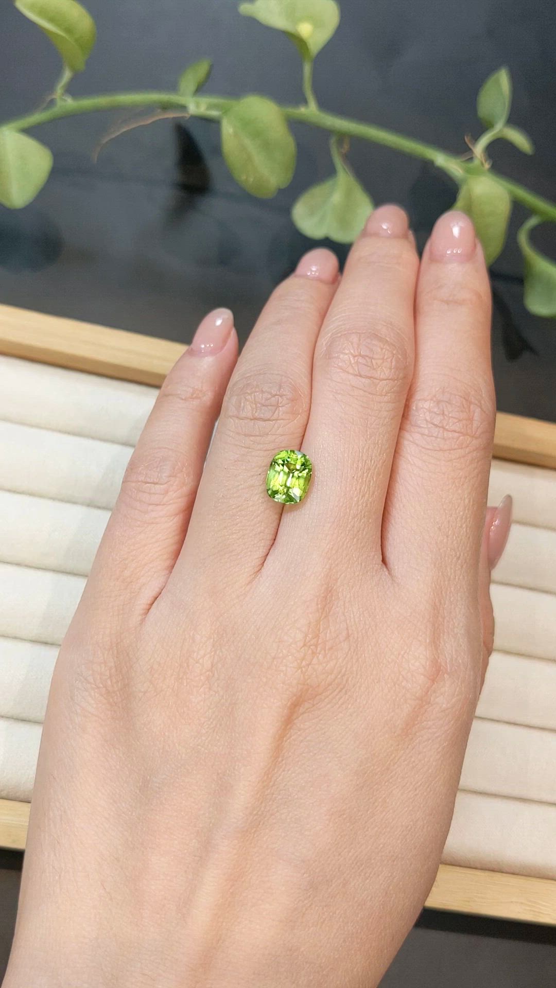 2.61 Ct. Yellowish Green Peridot from Pakistan Size Video