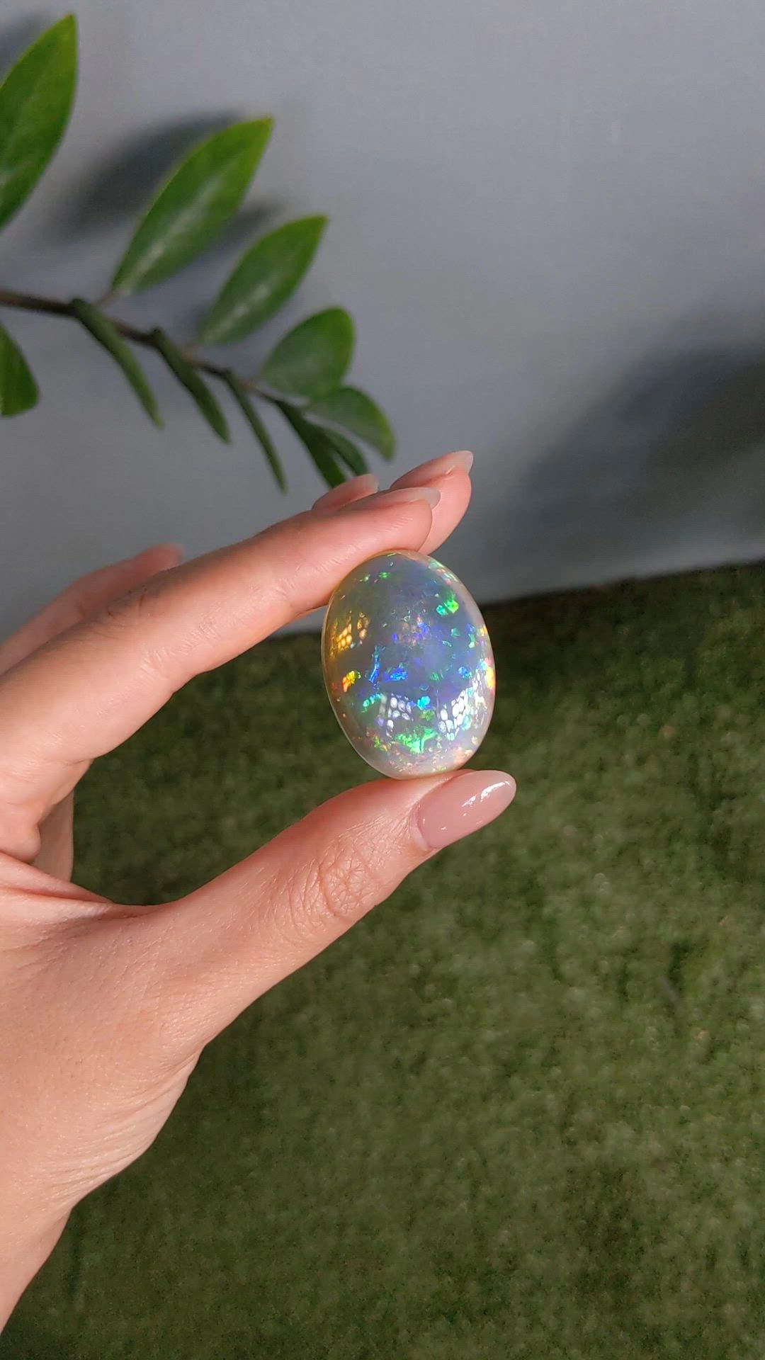 58.74 Ct. Multi Color Cabochon White Opal from Ethiopia Size Video
