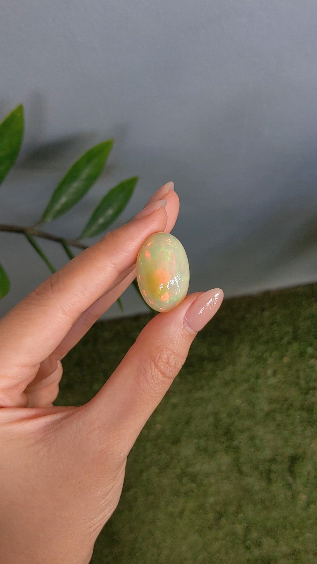 21.80 Ct. Multi Color Cabochon White Opal from Ethiopia Size Video