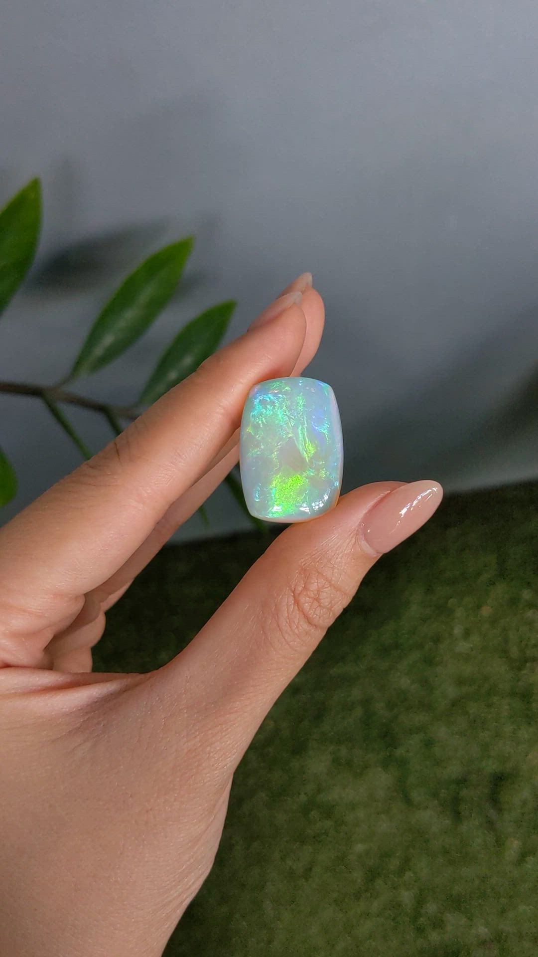 24.95 Ct. Multi Color White Opal from Ethiopia Size Video