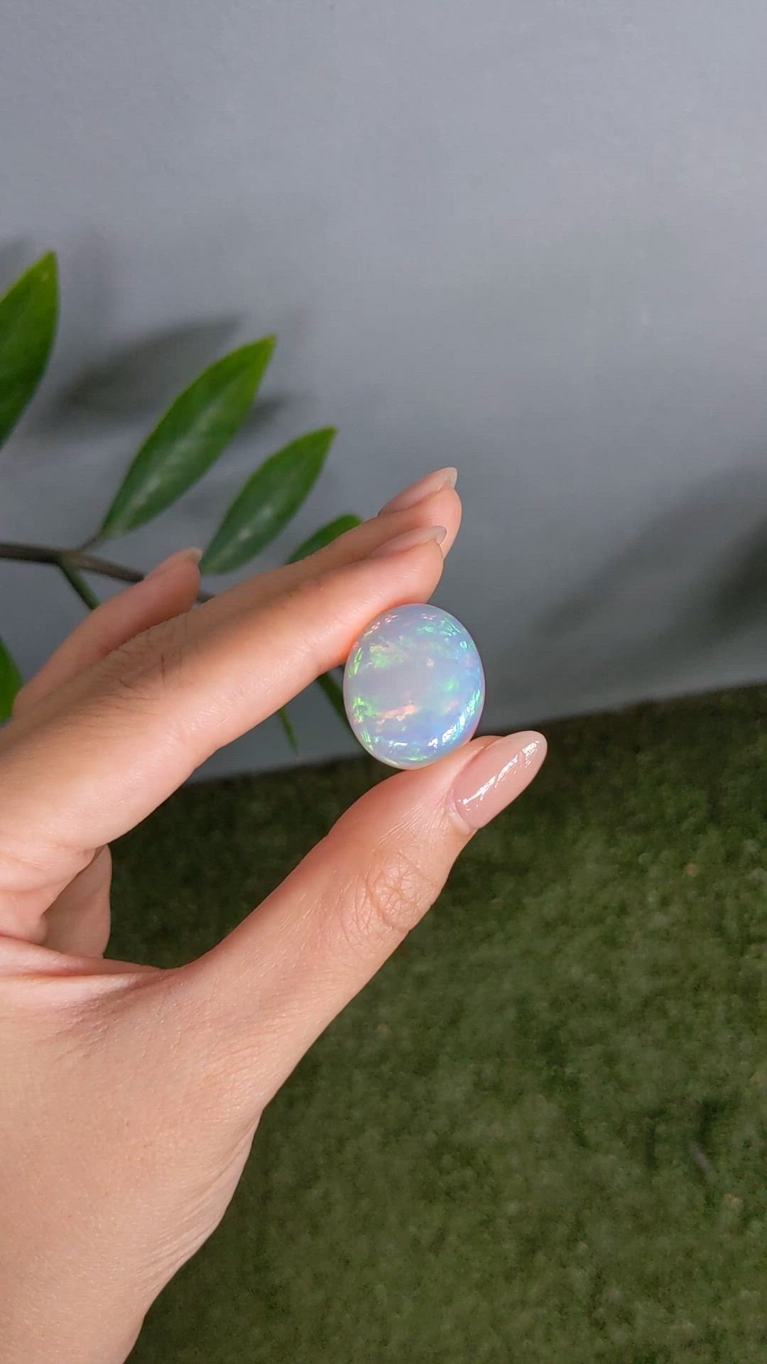 24.81 Ct. Multi Color Cabochon White Opal from Ethiopia Size Video