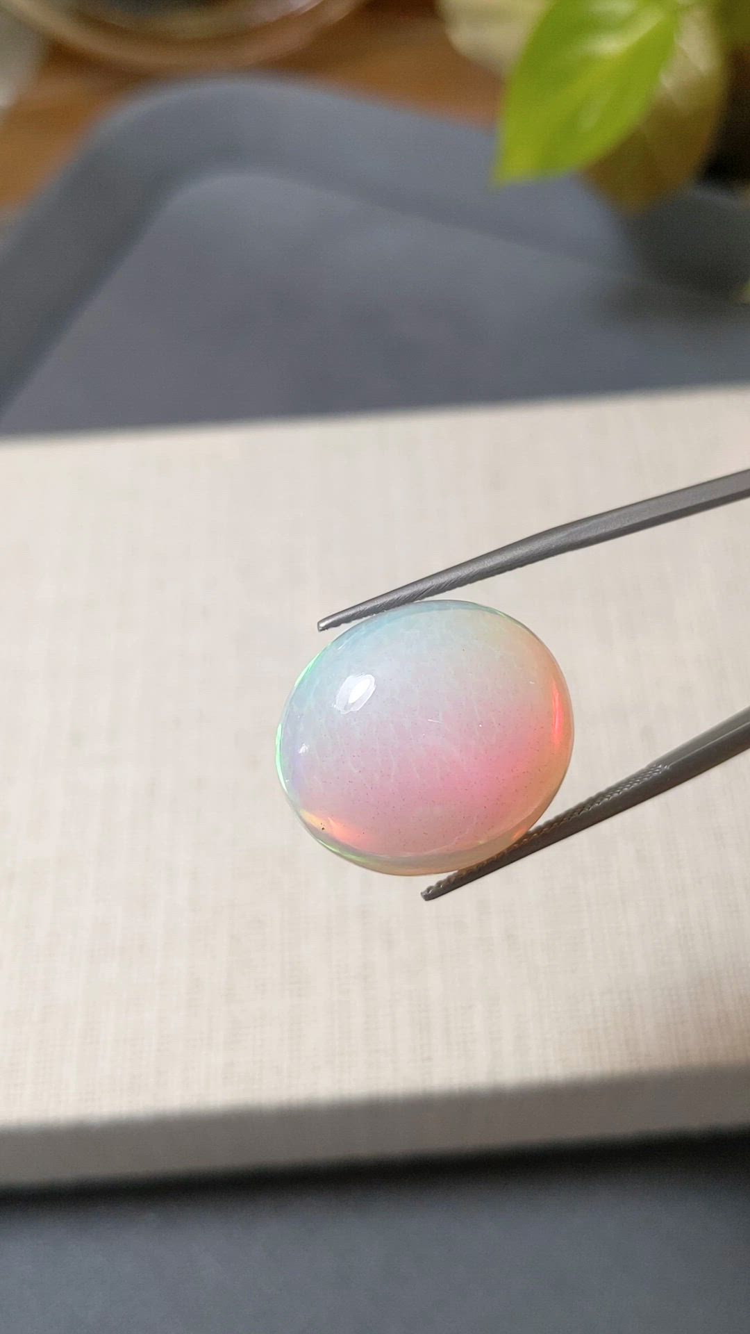 22.32 Ct. Multi Color Cabochon White Opal from Ethiopia Size Video