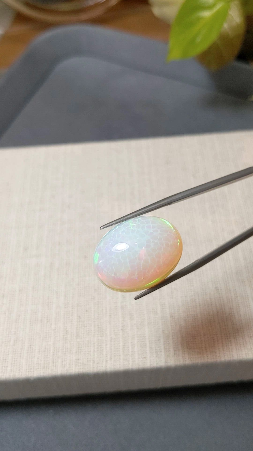 18.61 Ct. Multi Color Cabochon White Opal from Ethiopia Size Video