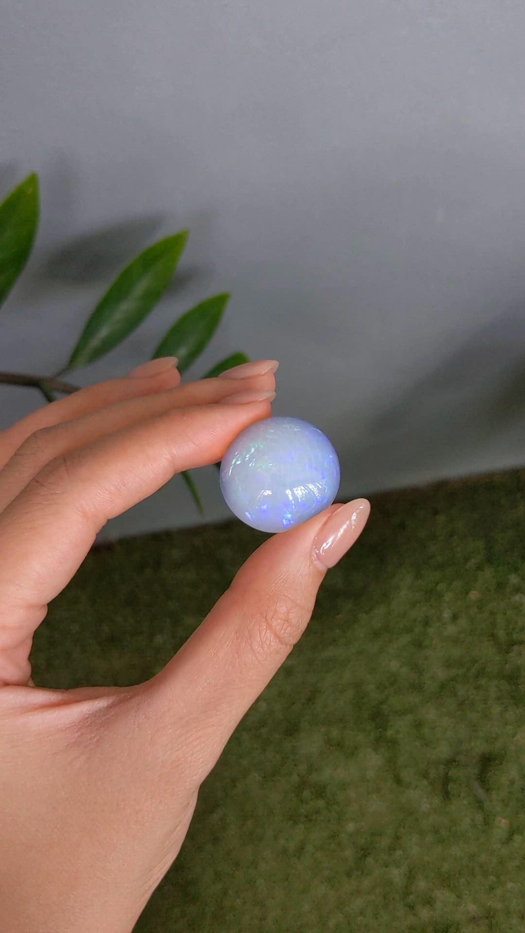 30.00 Ct. Multi Color Cabochon White Opal from Ethiopia Size Video