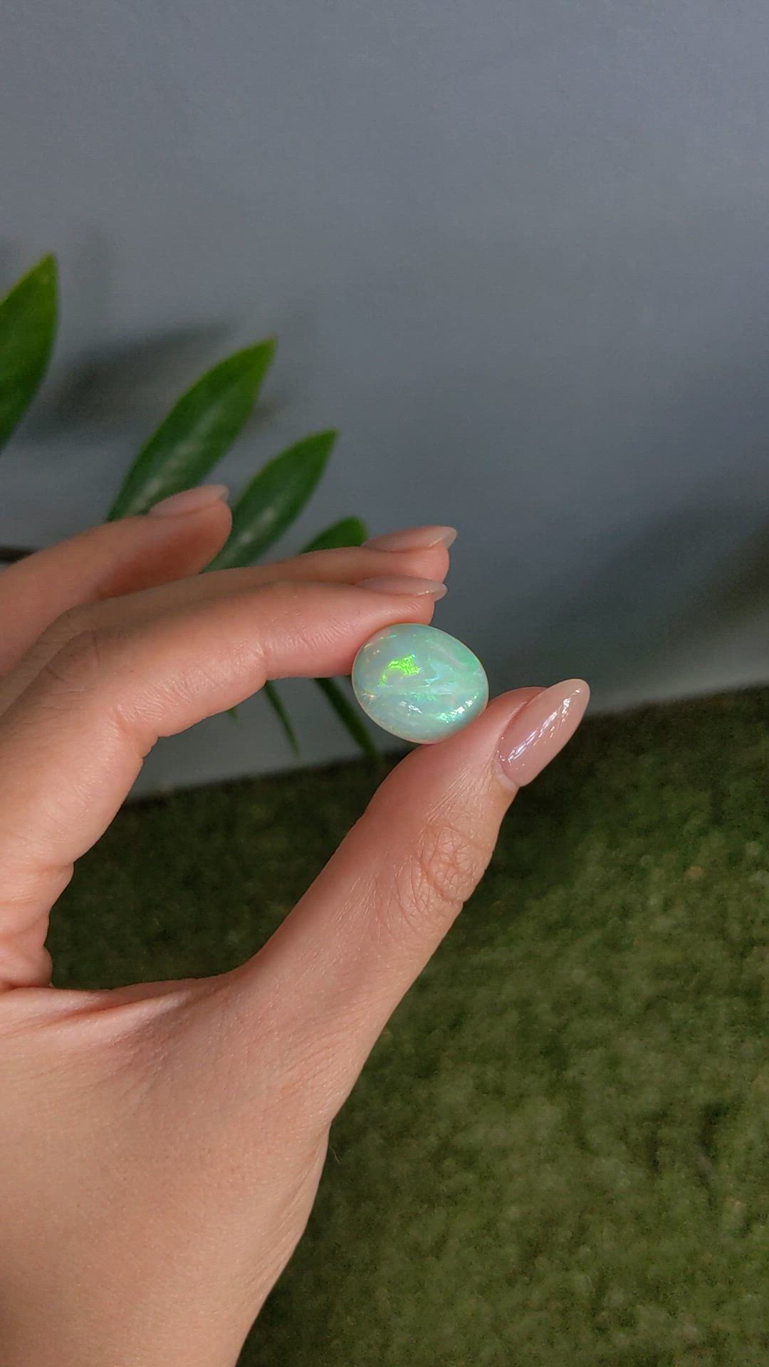 10.05 Ct. Multi Color Cabochon White Opal from Ethiopia Size Video