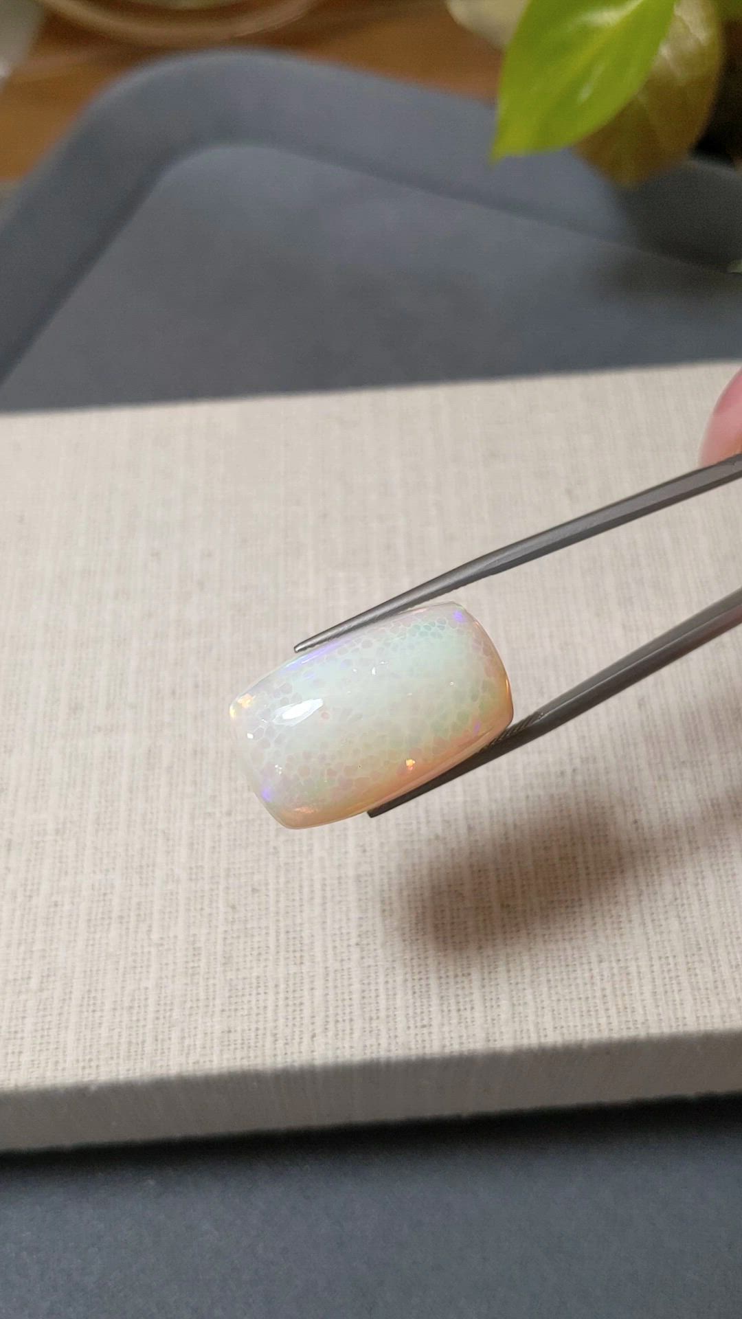 21.52 Ct. Multi Color Cabochon White Opal from Ethiopia Size Video