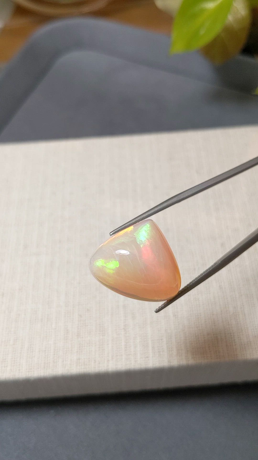 18.51 Ct. Multi Color Cabochon White Opal from Ethiopia Size Video