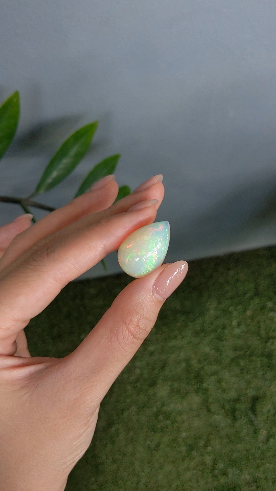 20.51 Ct. Multi Color Cabochon White Opal from Ethiopia Size Video