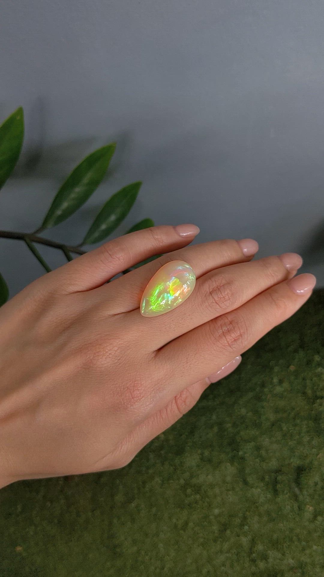 17.22 Ct. Multi Color Cabochon White Opal from Ethiopia Size Video