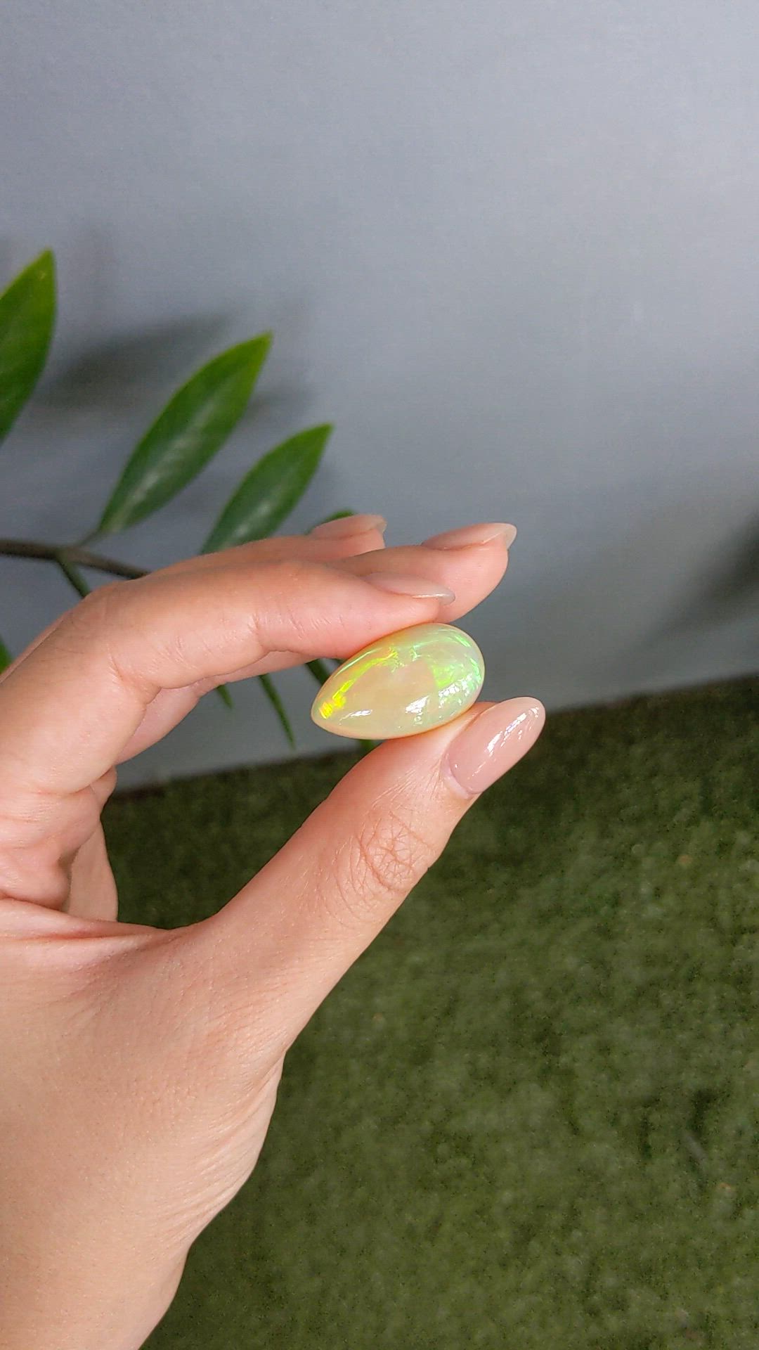 17.22 Ct. Multi Color Cabochon White Opal from Ethiopia Size Video