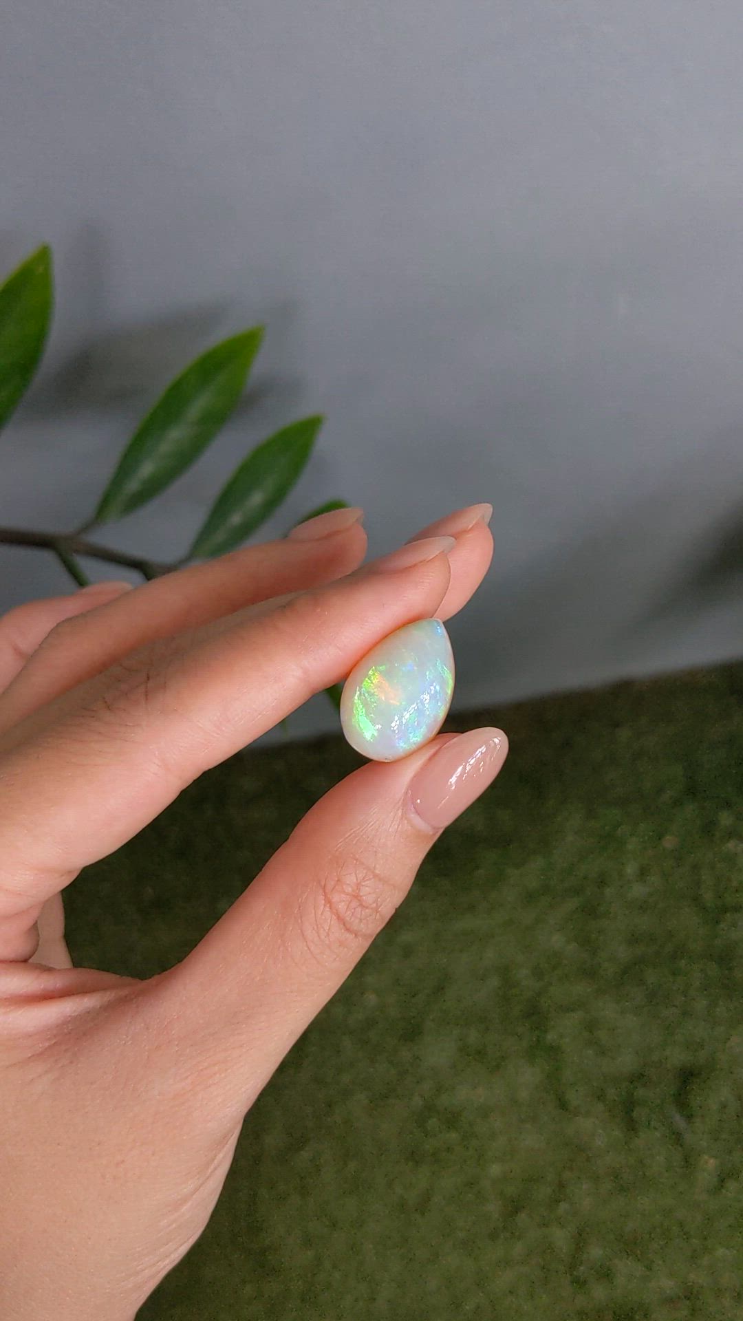 13.78 Ct. Multi Color Cabochon White Opal from Ethiopia Size Video