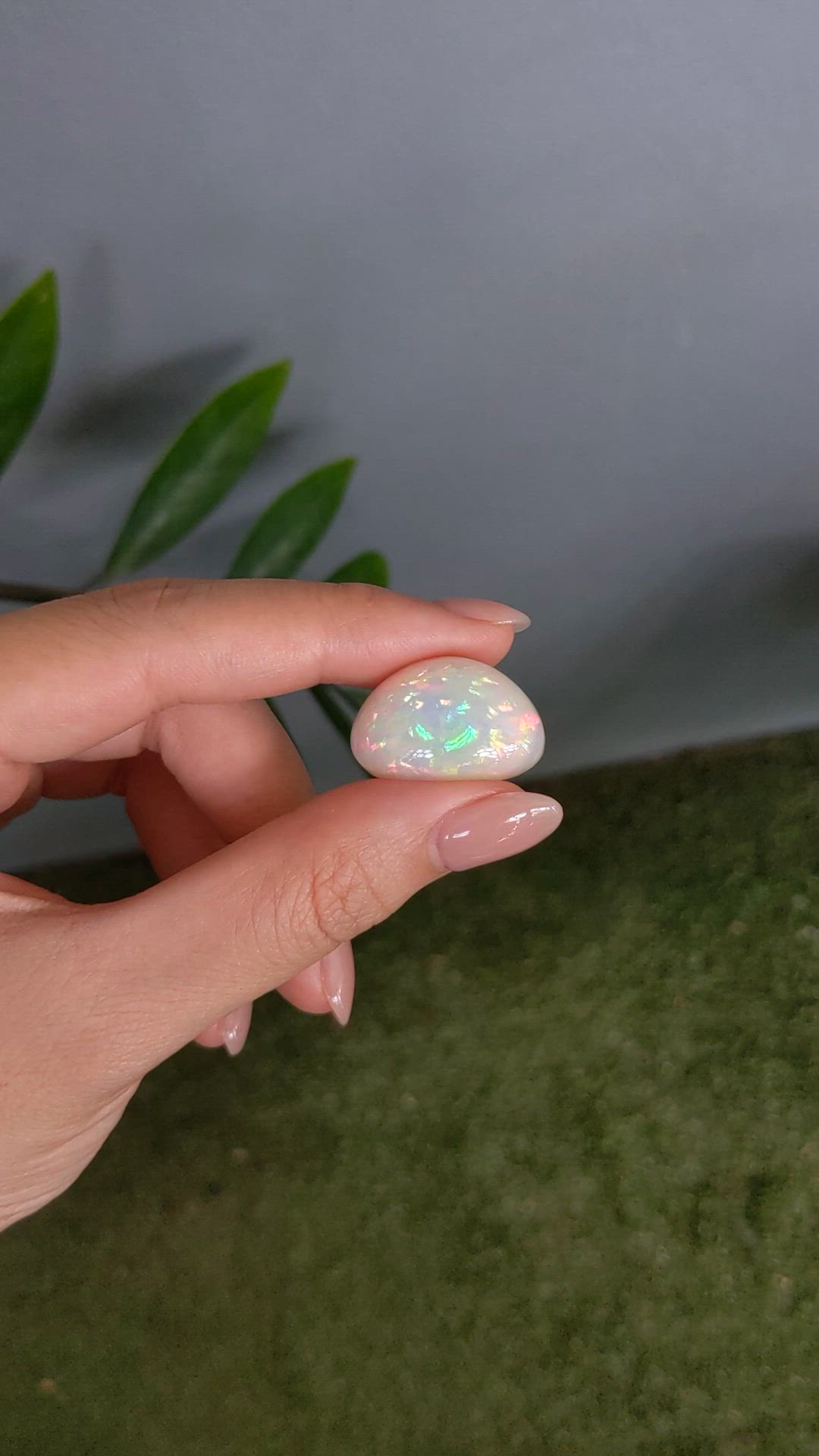21.48 Ct. Multi Color Cabochon White Opal from Ethiopia Size Video