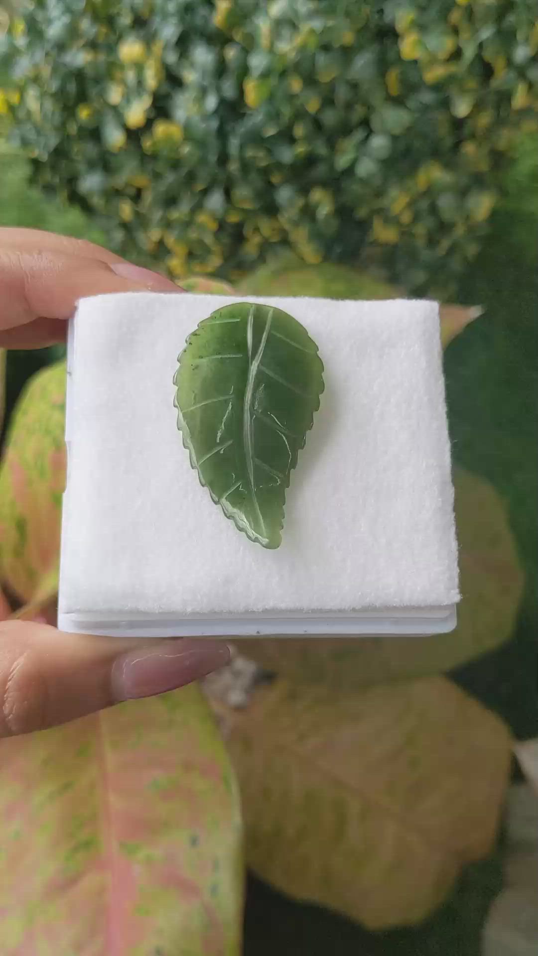 30.92 Ct. Green Jade from Burma (Myanmar) Size Video