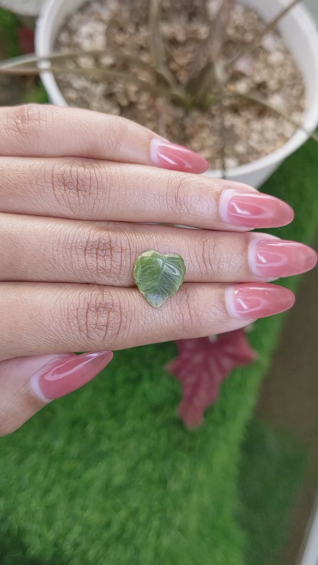 3.24 Ct. Green Jade from Burma (Myanmar) Size Video