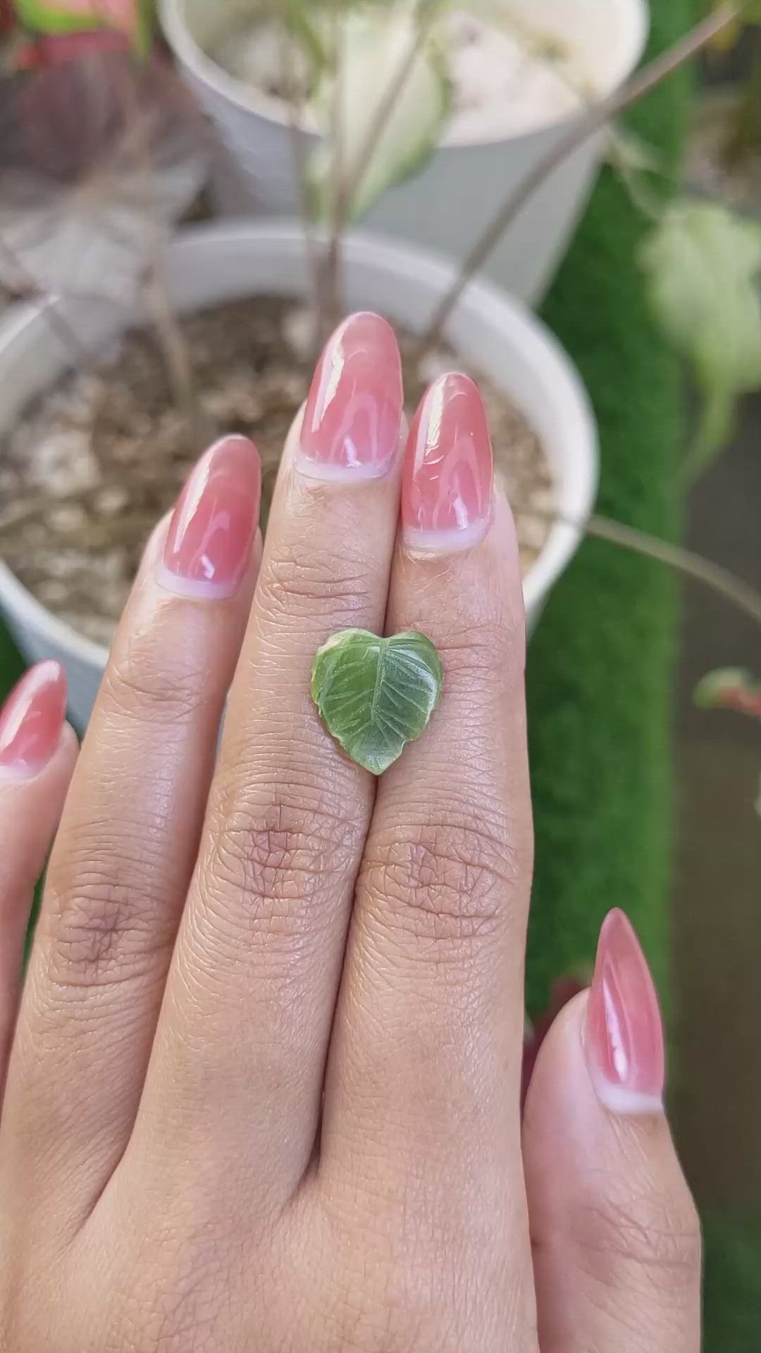 3.24 Ct. Green Jade from Burma (Myanmar) Size Video