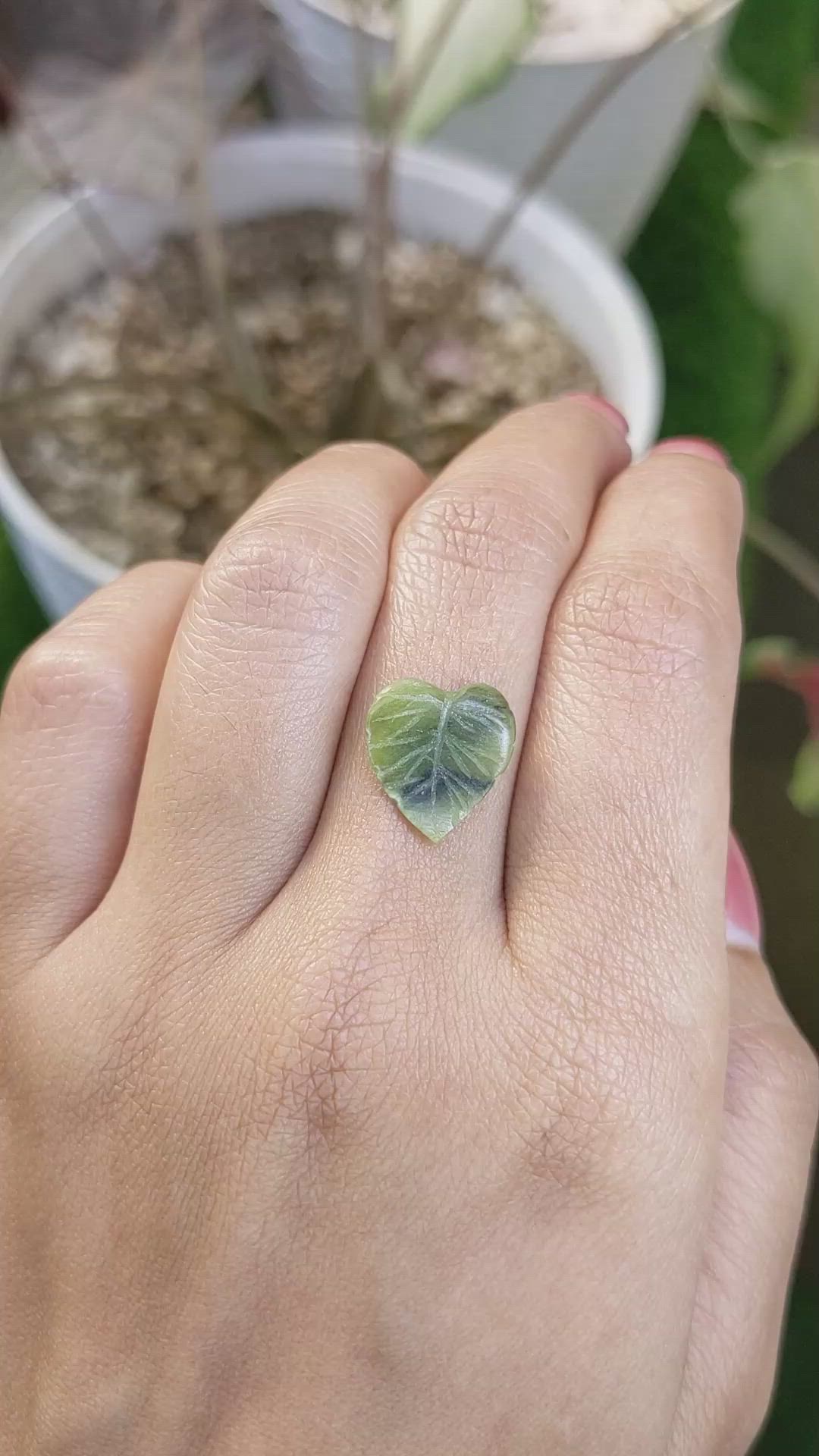 2.49 Ct. Green Jade from Burma (Myanmar) Size Video