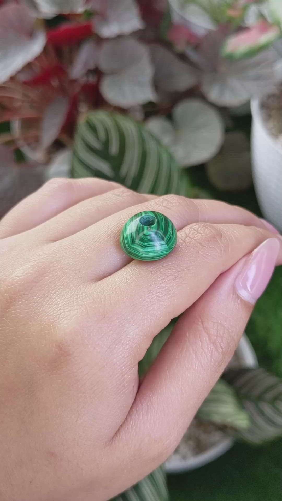 23.88 Ct. Cabochon Malachite from Madagascar Size Video