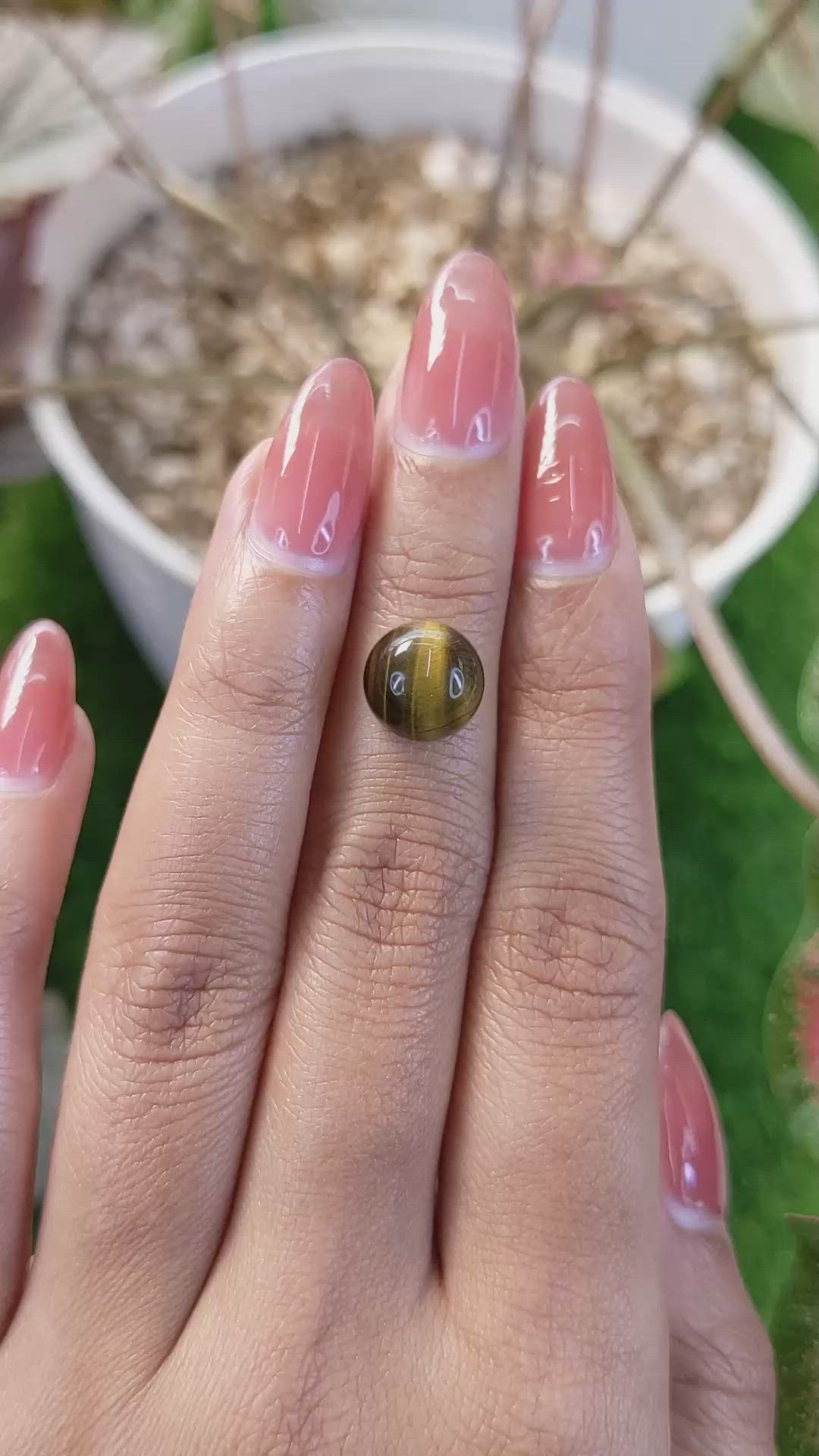 4.34 Ct. Cabochon Tiger's Eye from Ceylon (Sri Lanka) Size Video